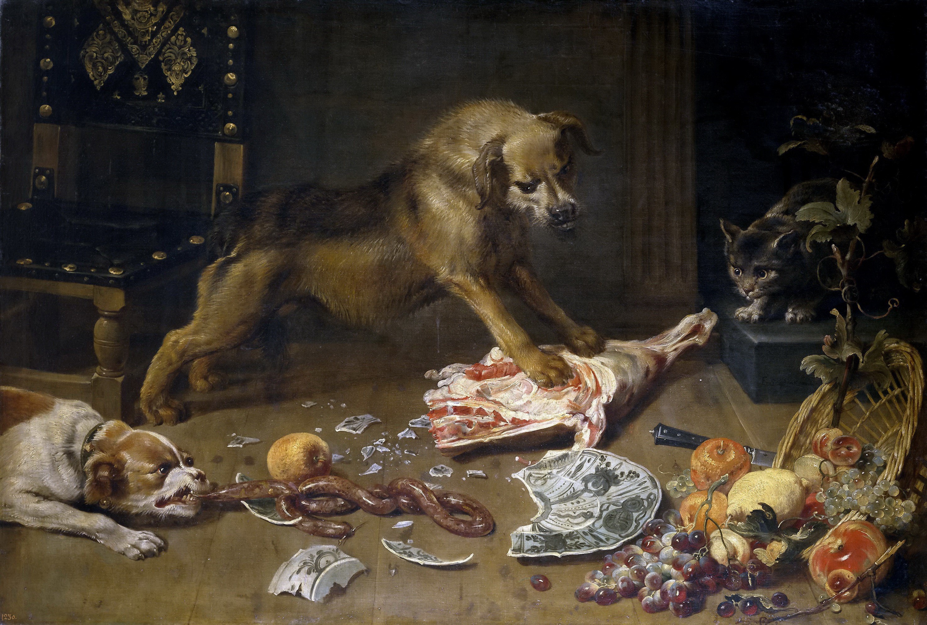 Dogs and Cat in a Pantry with Meat and Fruit HD Wallpaper