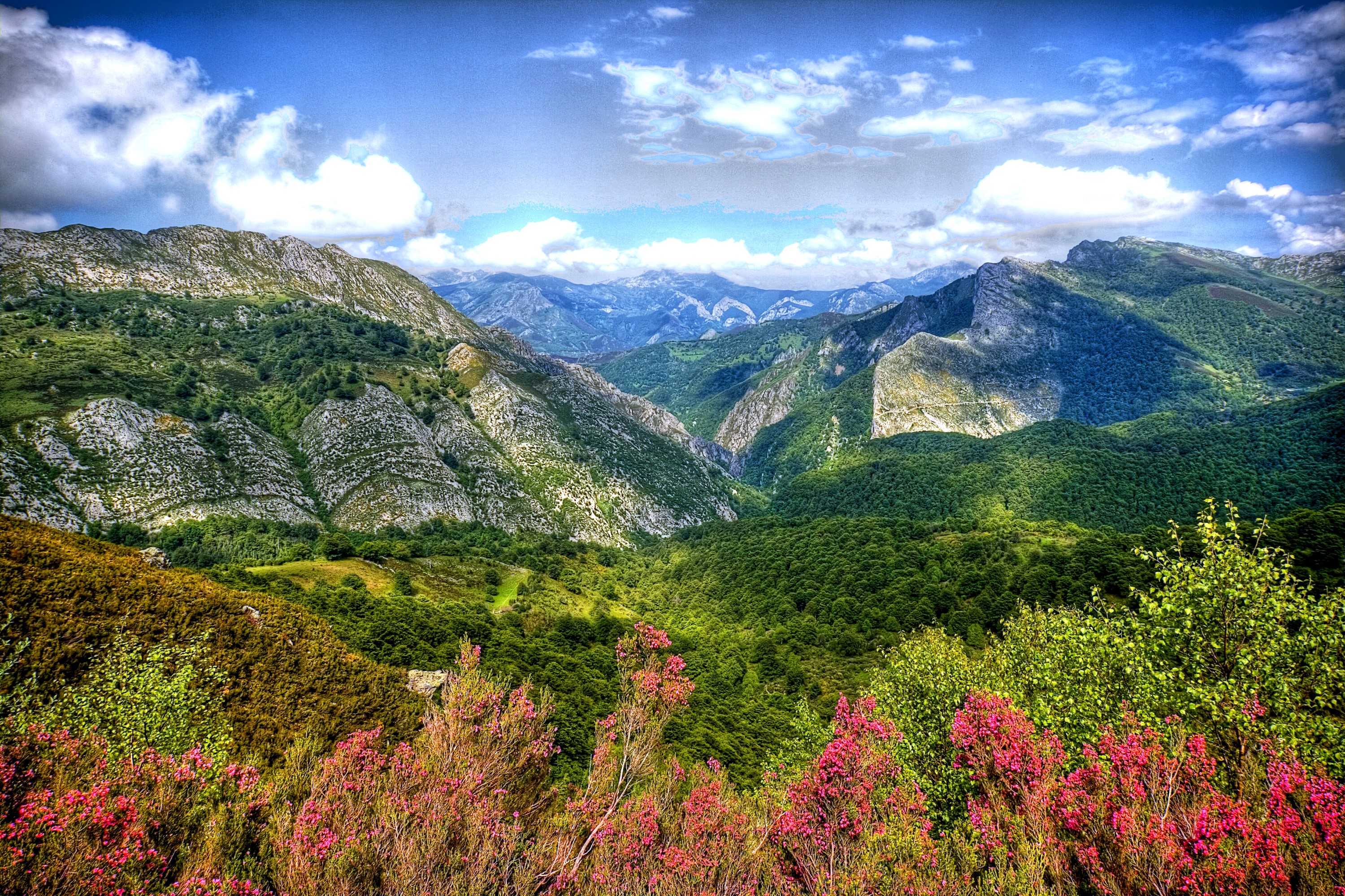 Mountains and forests in Caleao, Asturias, Spain HD Wallpaper