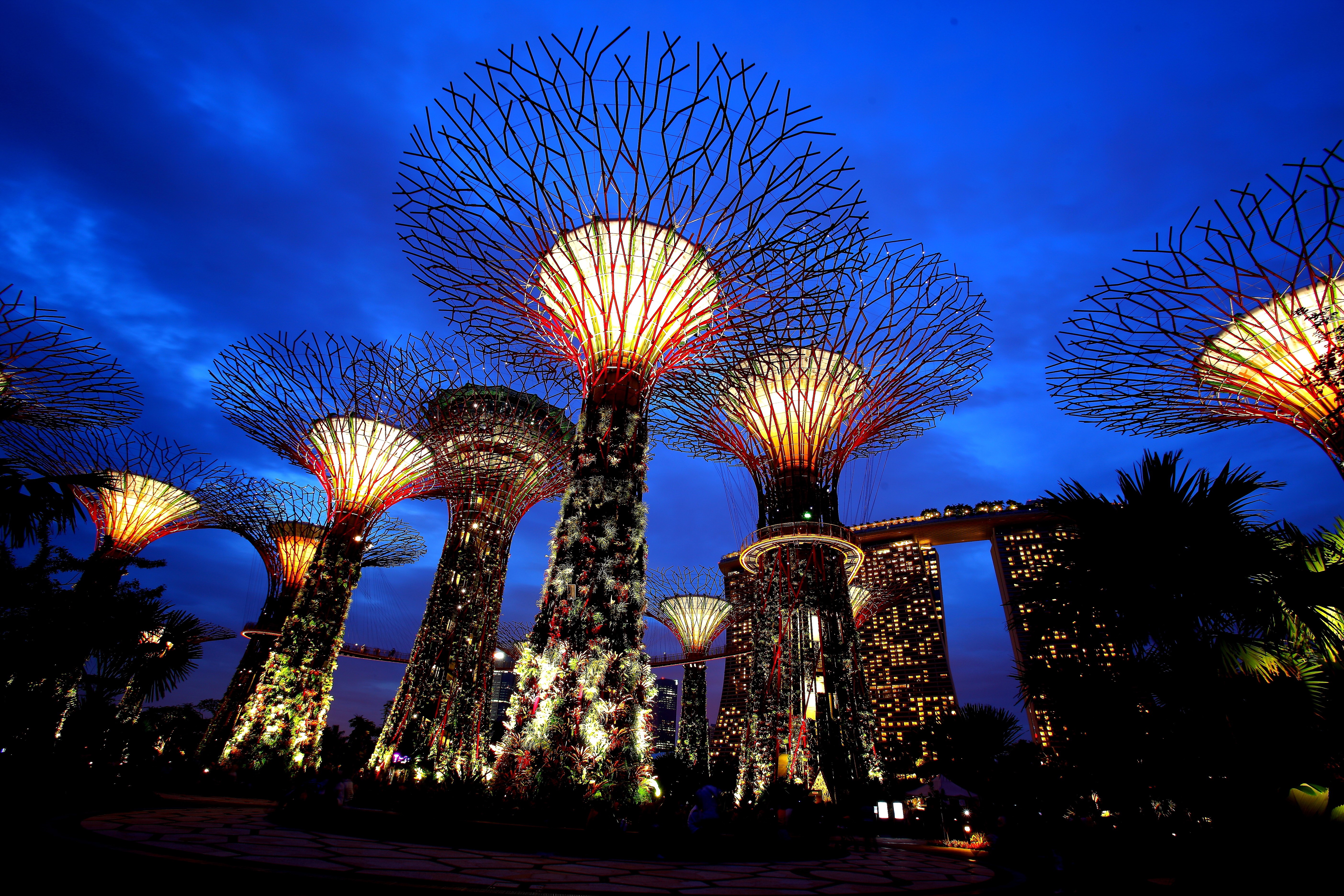 Gardens by the Bay Singapore at Night HD Wallpaper