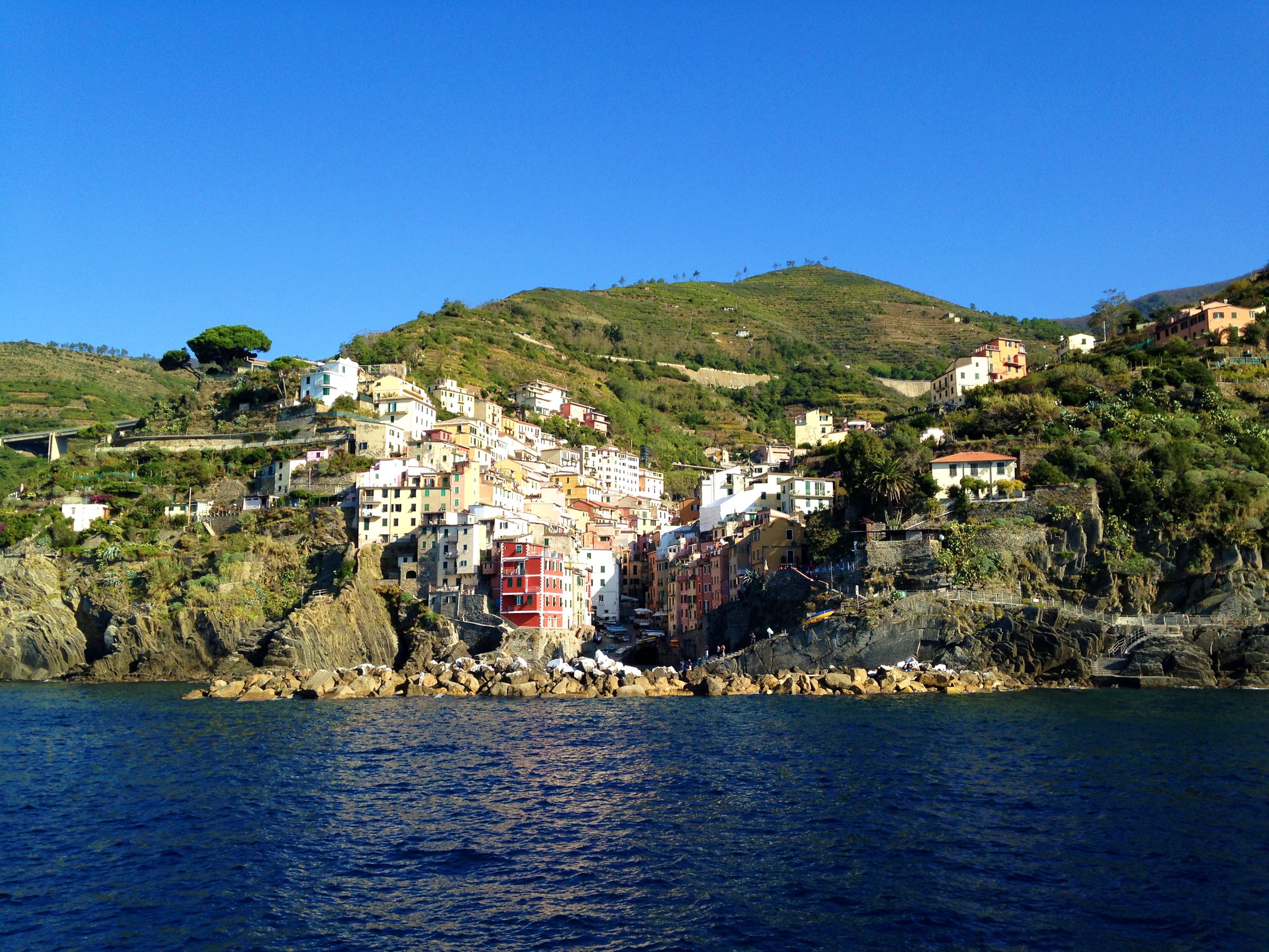 Colorful houses on a cliffside overlooking the sea HD Wallpaper