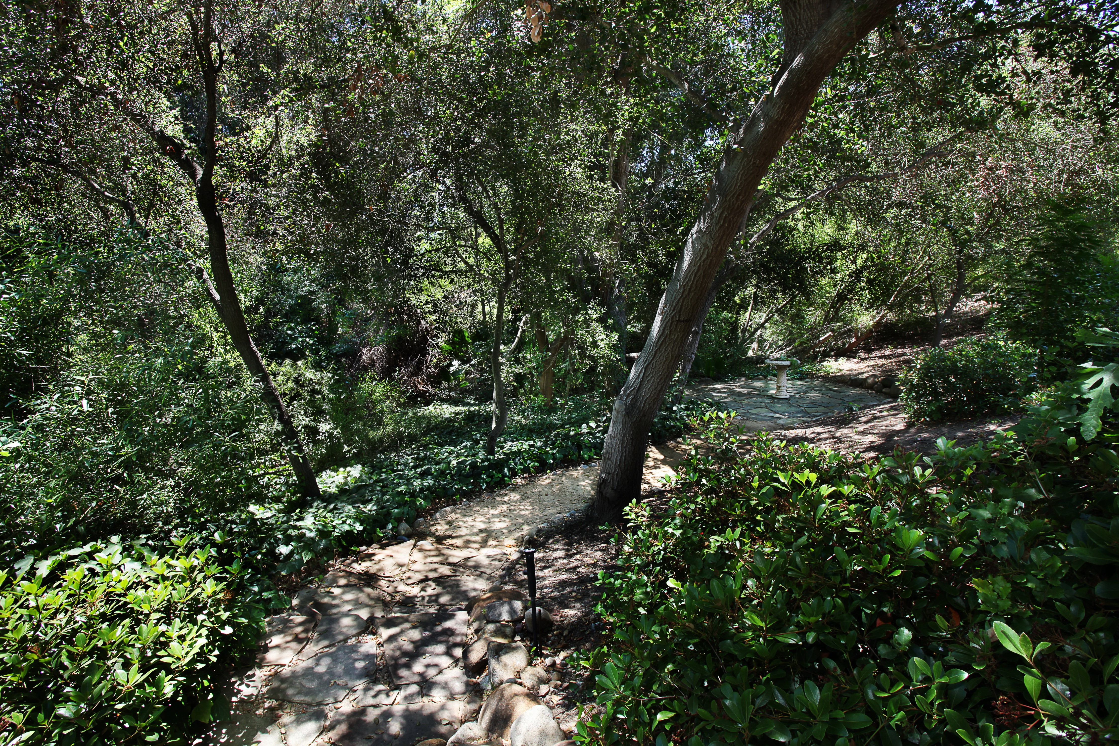 Park in San Juan Capistrano, California HD Wallpaper