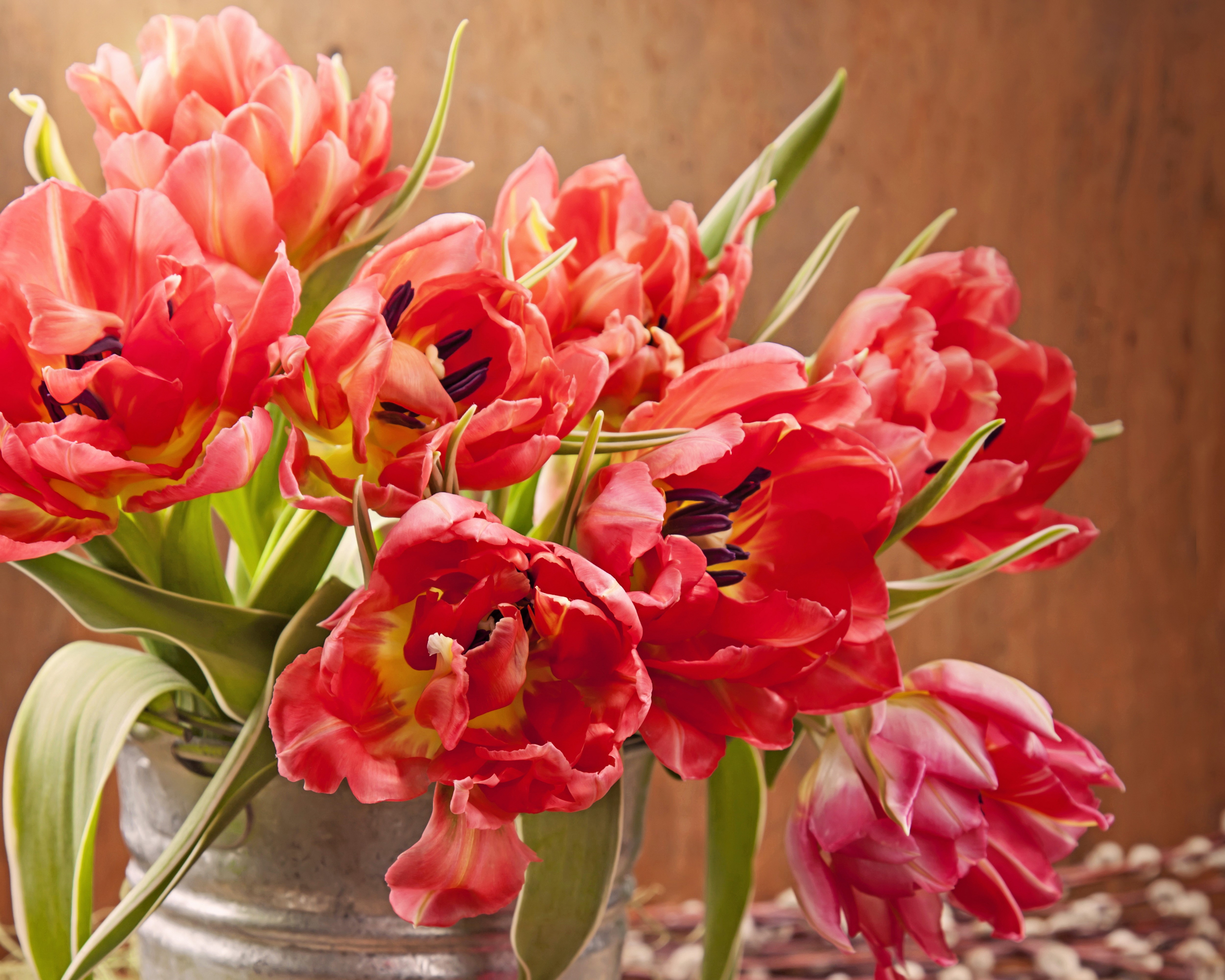 Red Tulips in a Bucket HD Wallpaper