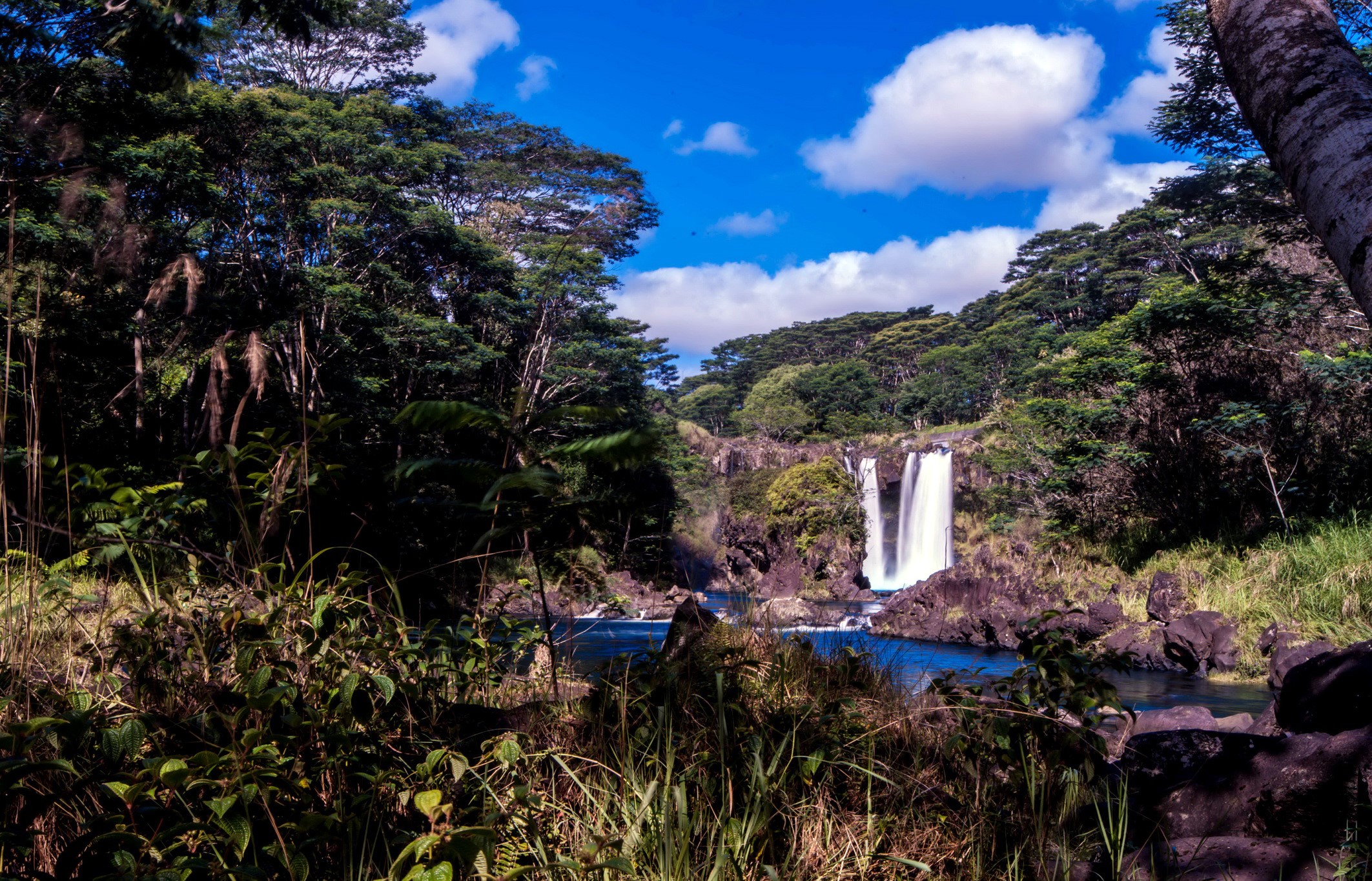 Waterfall in a lush Hawaiian forest HD Wallpaper