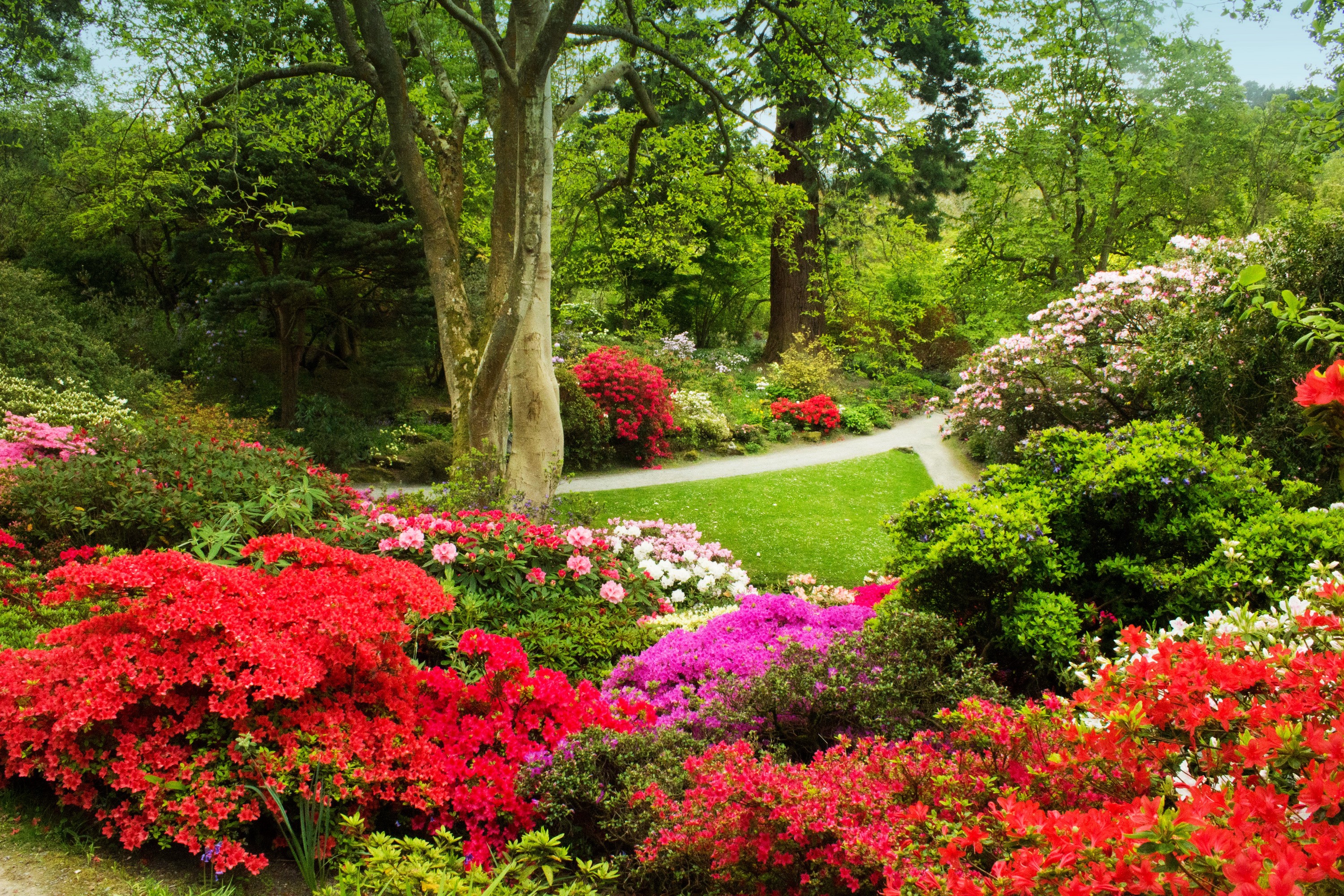 Bodnant Gardens in Wales, United Kingdom HD Wallpaper