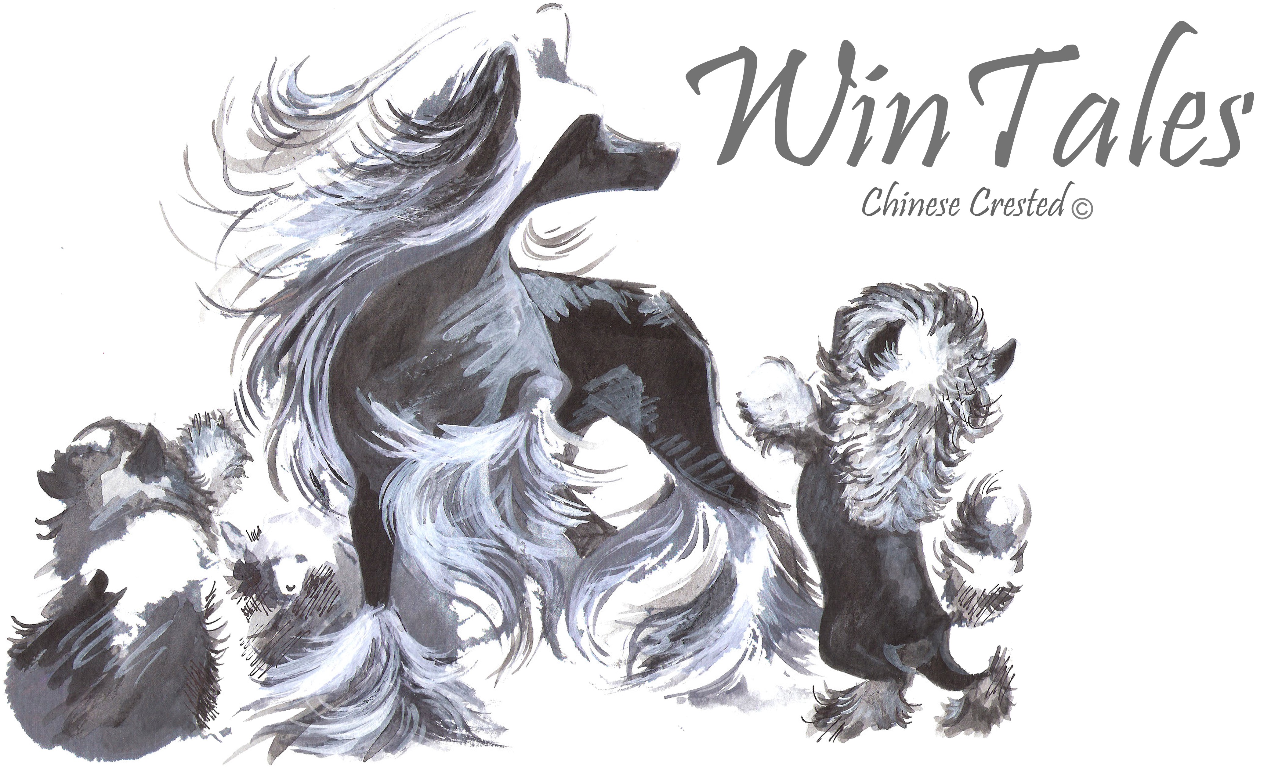 Win Tales Chinese Crested Dogs Painting Art HD Wallpaper