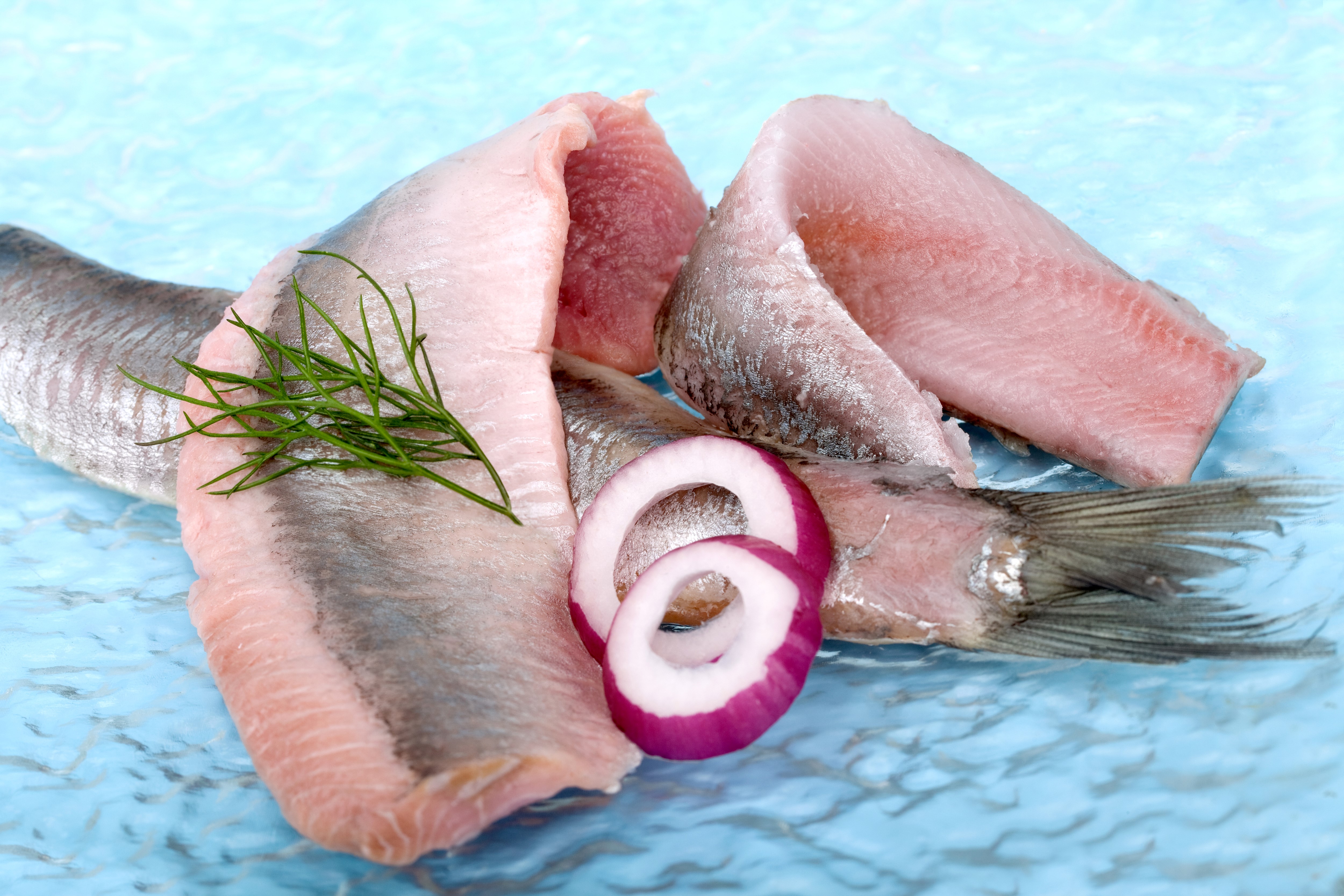 Raw fish fillets with onion rings and dill HD Wallpaper