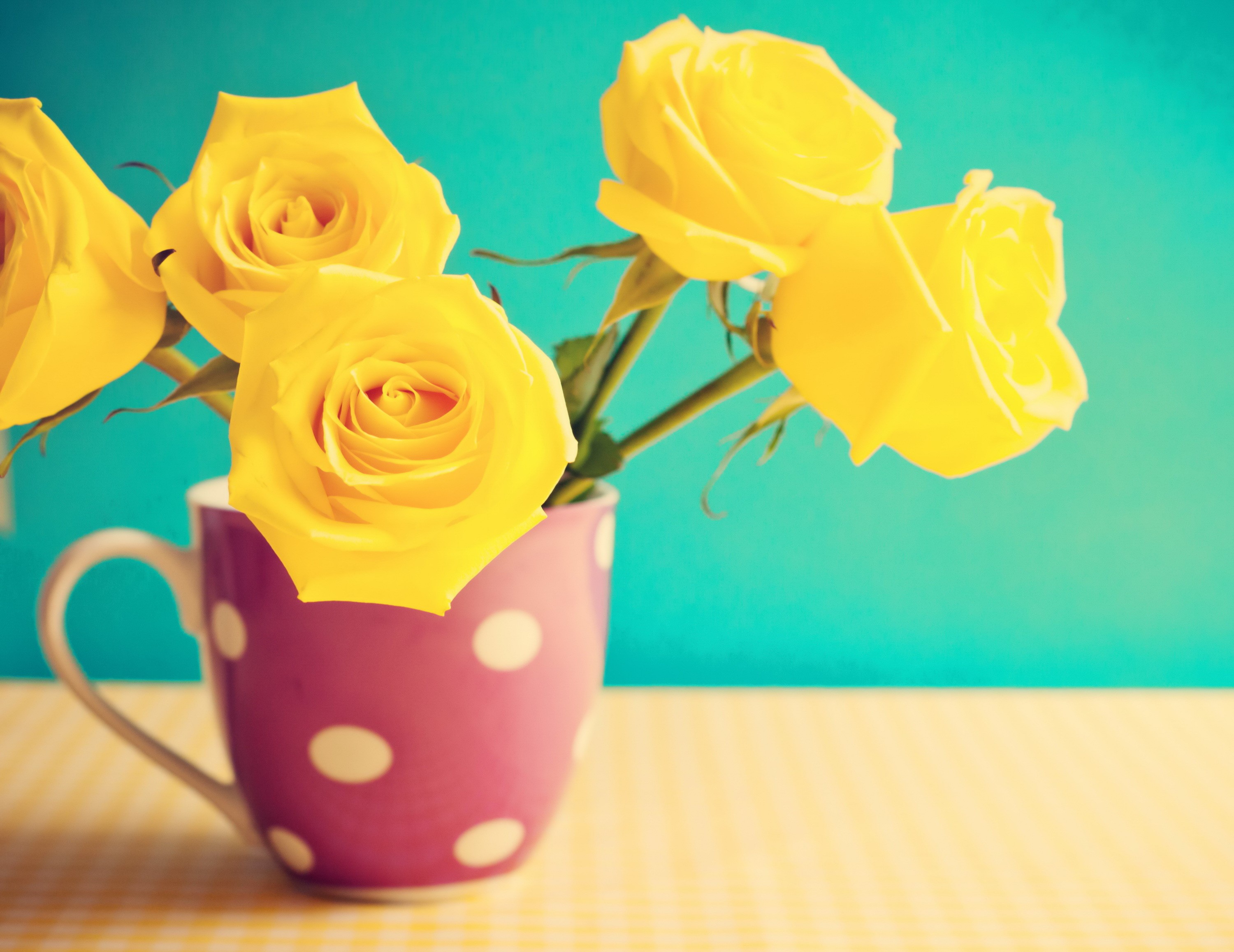 Yellow Roses in a Polka Dot Mug HD Wallpaper