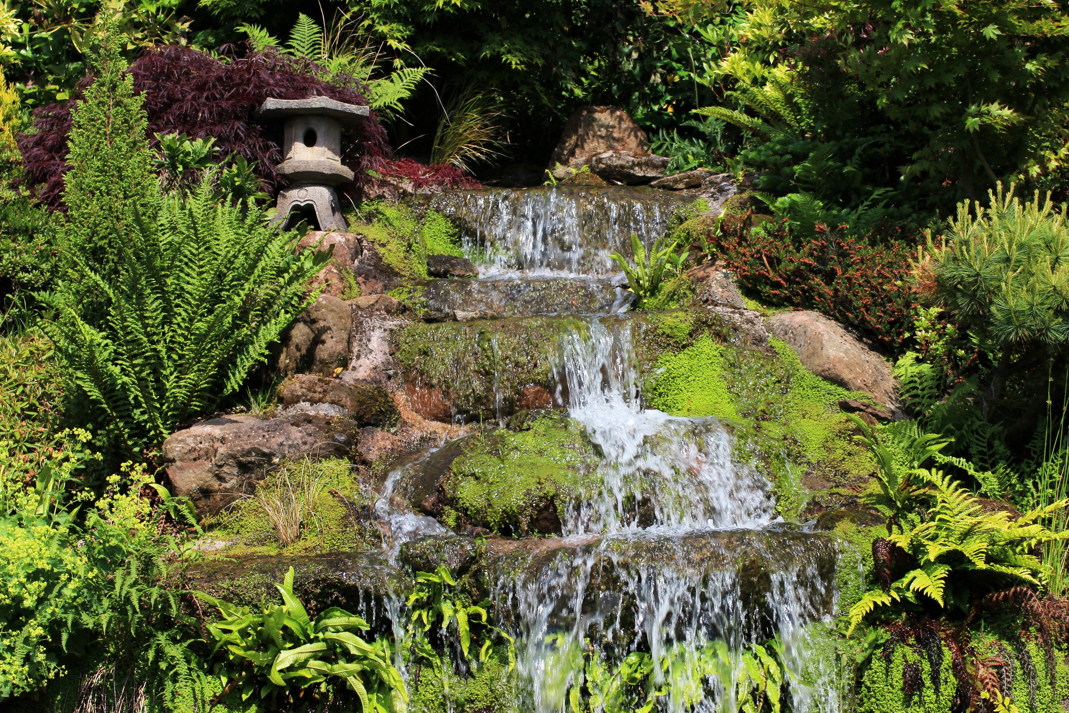Japanese garden with a multi-tiered waterfall and stone lantern HD Wallpaper