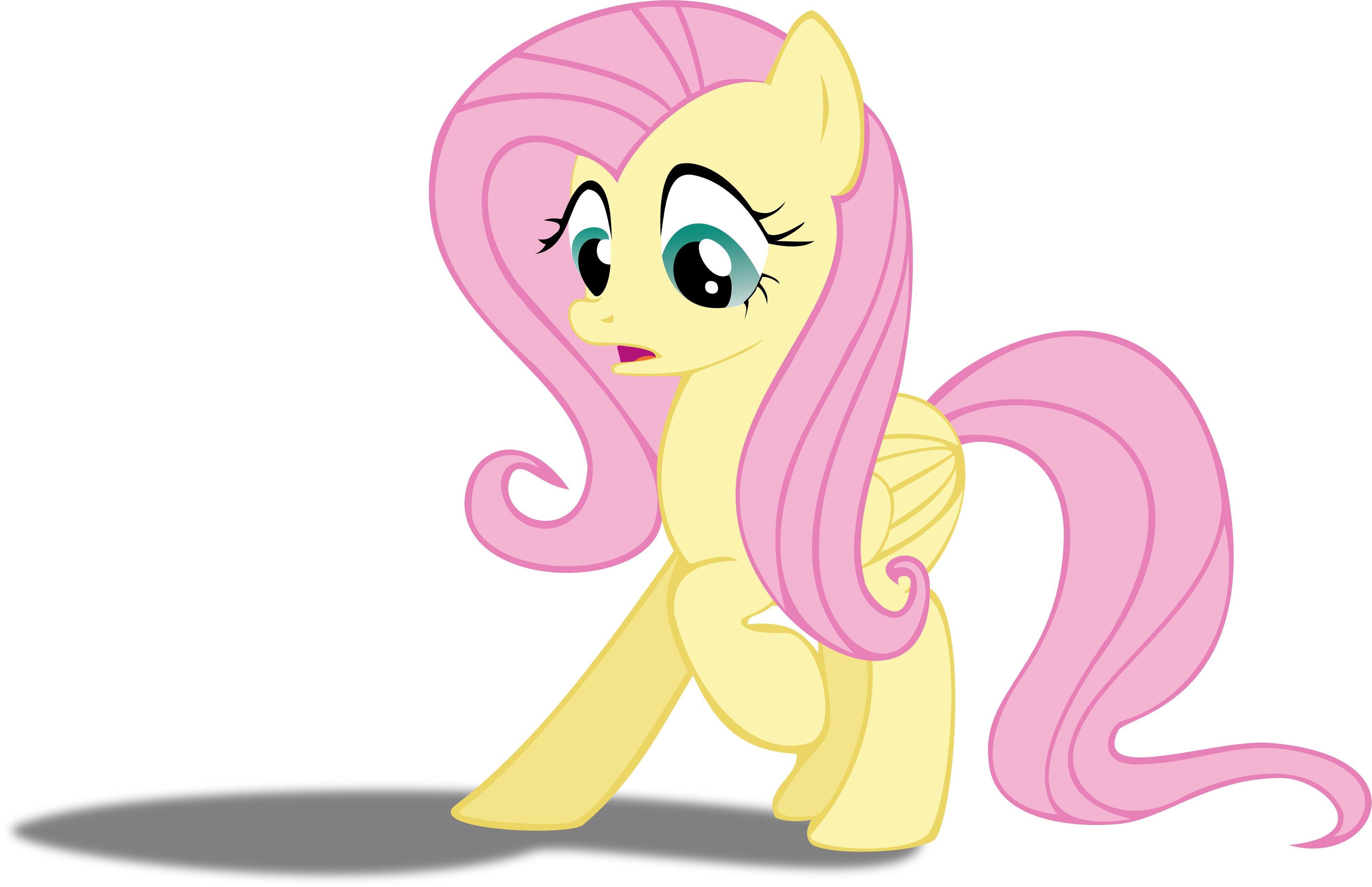 Fluttershy from My Little Pony HD Wallpaper