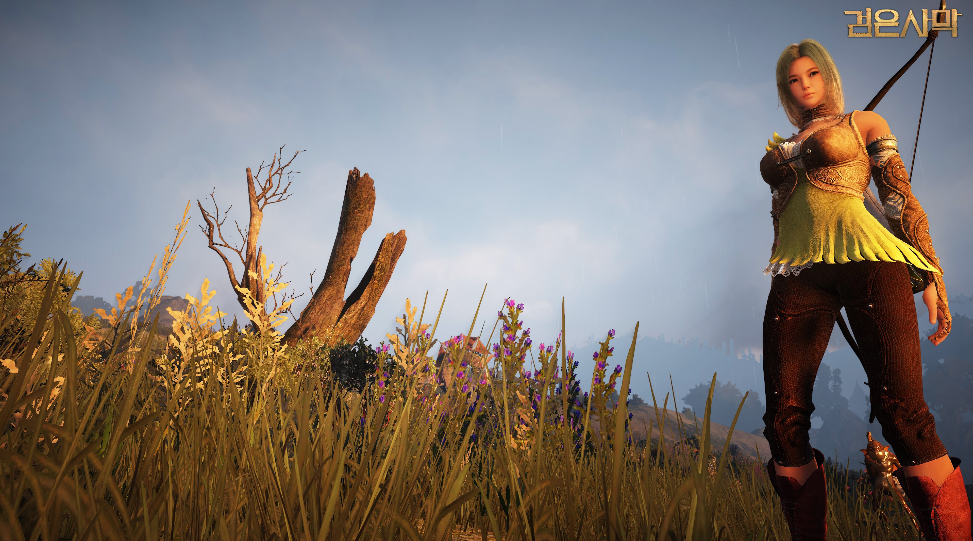 Archer from Black Desert HD Wallpaper