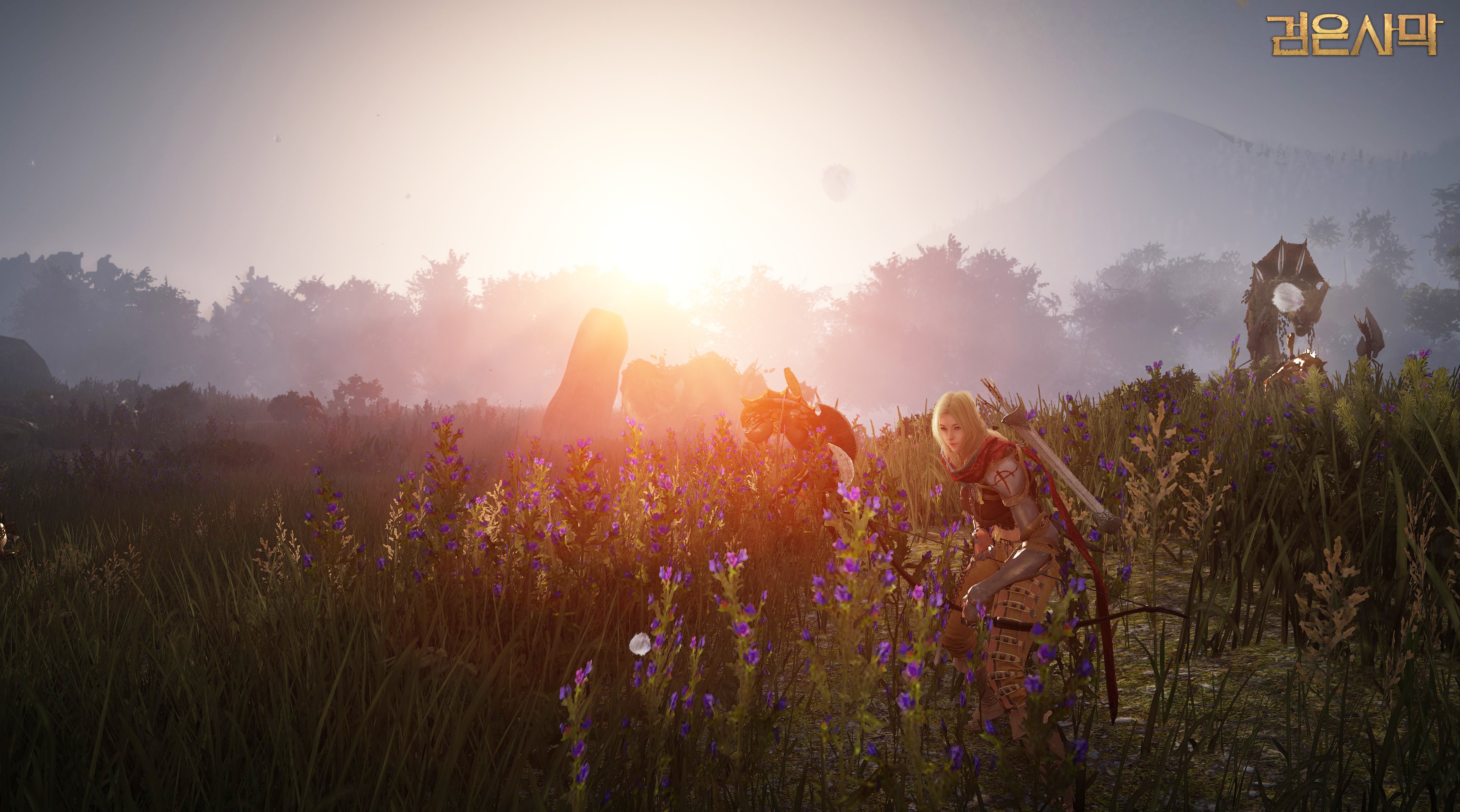 Archer from Black Desert in a field at sunrise HD Wallpaper