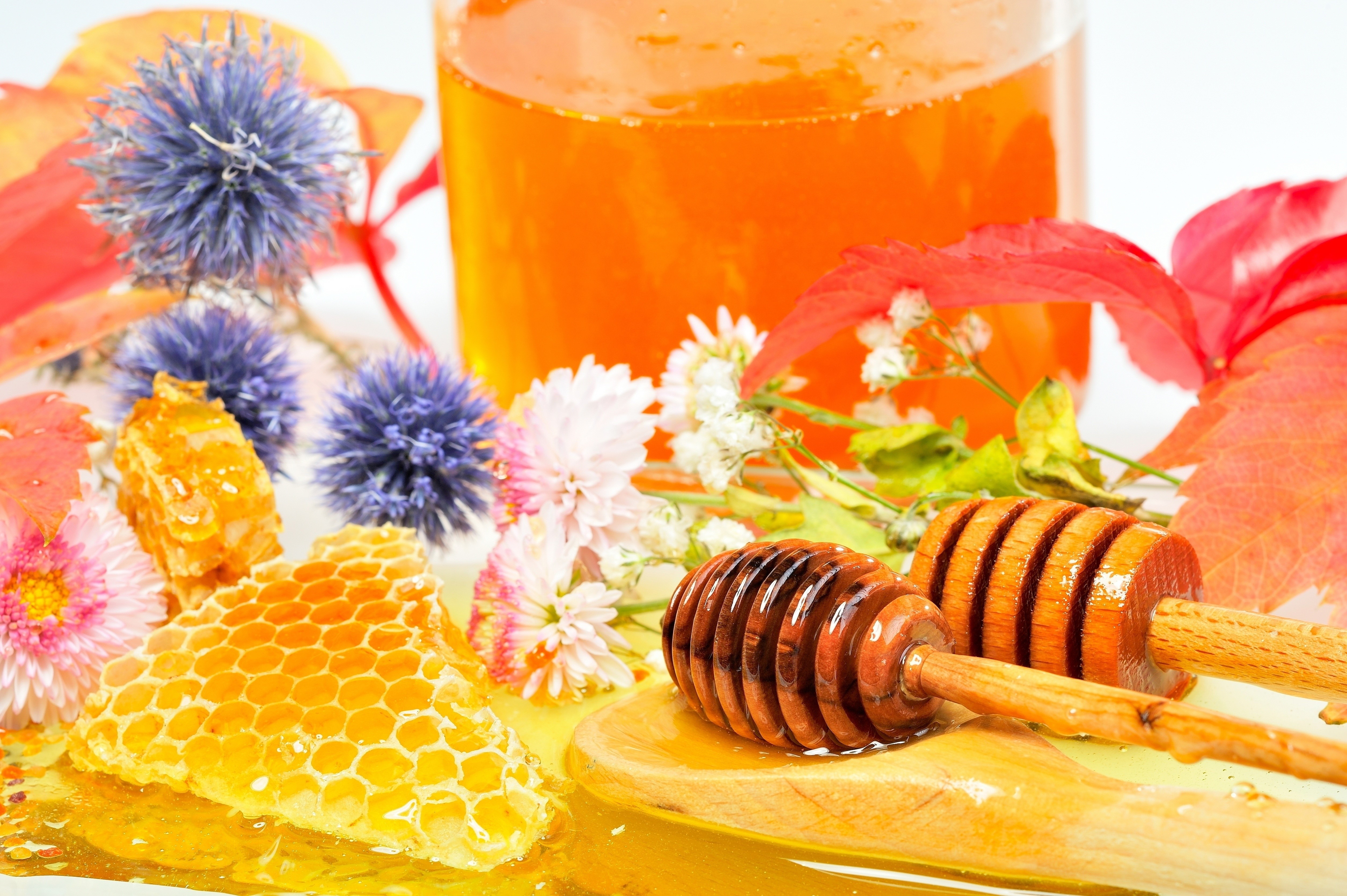 Honey, Honeycomb, Flowers, and Honey Dippers HD Wallpaper