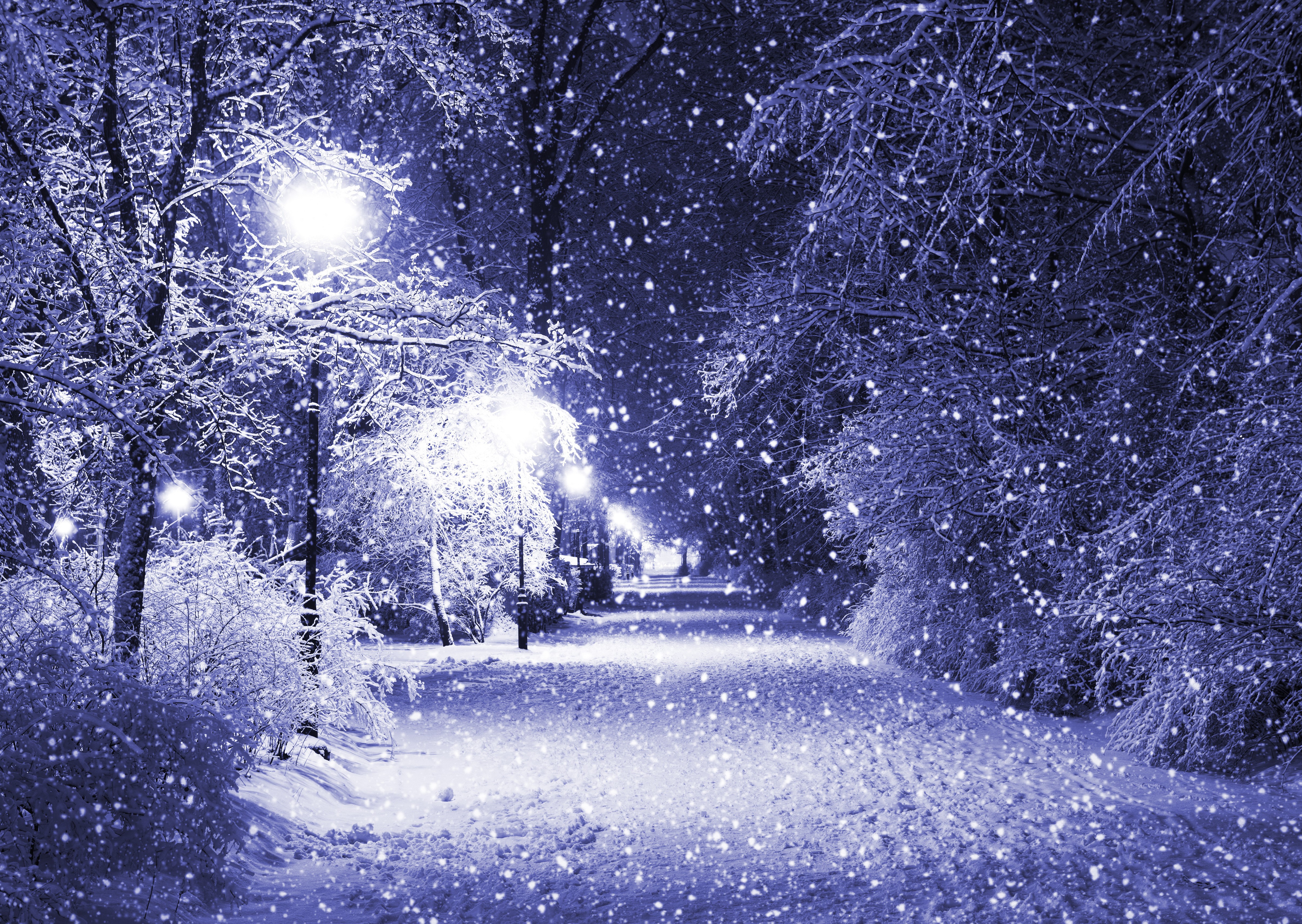 Snowy Avenue with Street Lights at Night HD Wallpaper