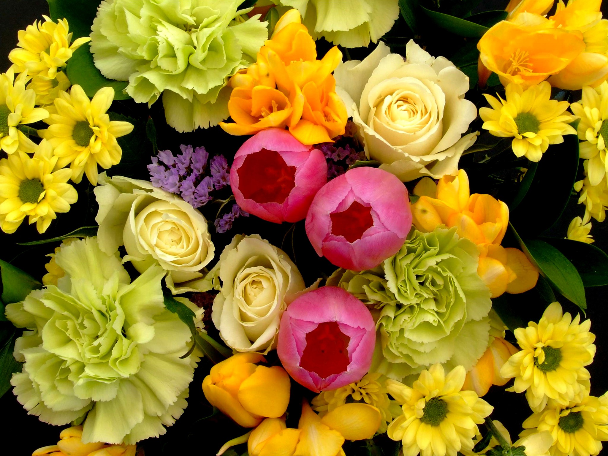 Bouquet of Tulips, Roses, Freesia, and Chrysanthemums HD Wallpaper