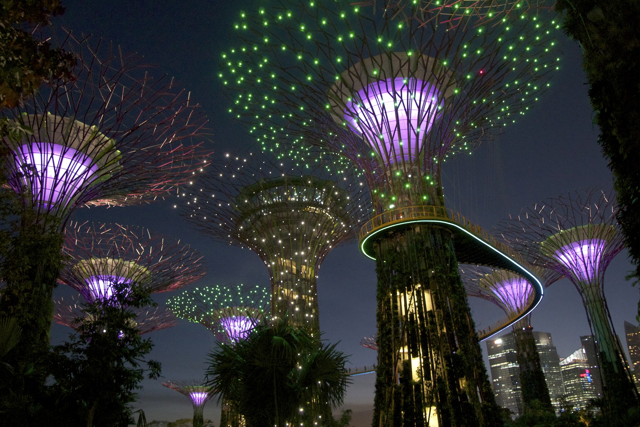 Gardens by the Bay Supertrees at night in Singapore HD Wallpaper