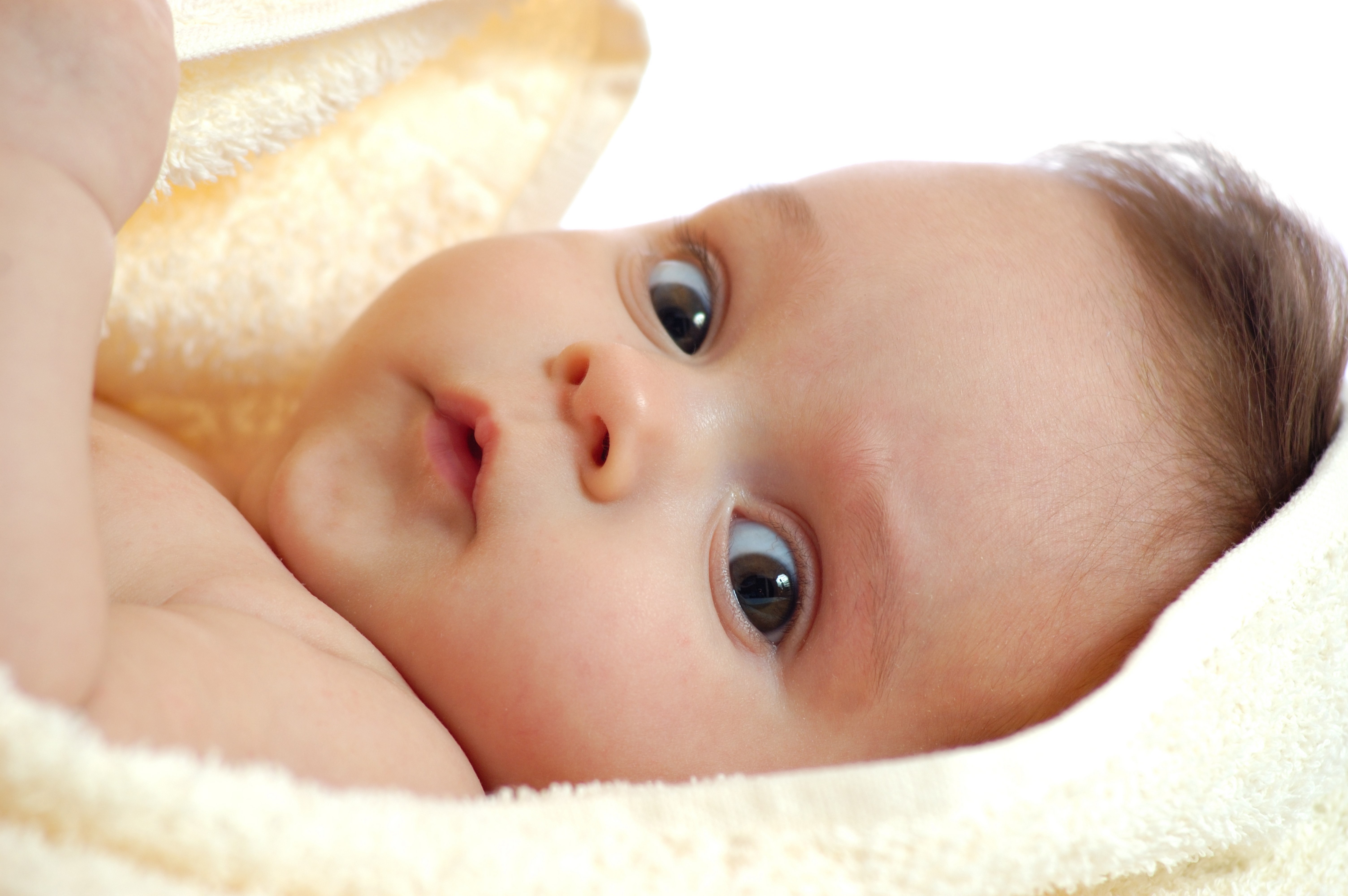 Infant looking up HD Wallpaper