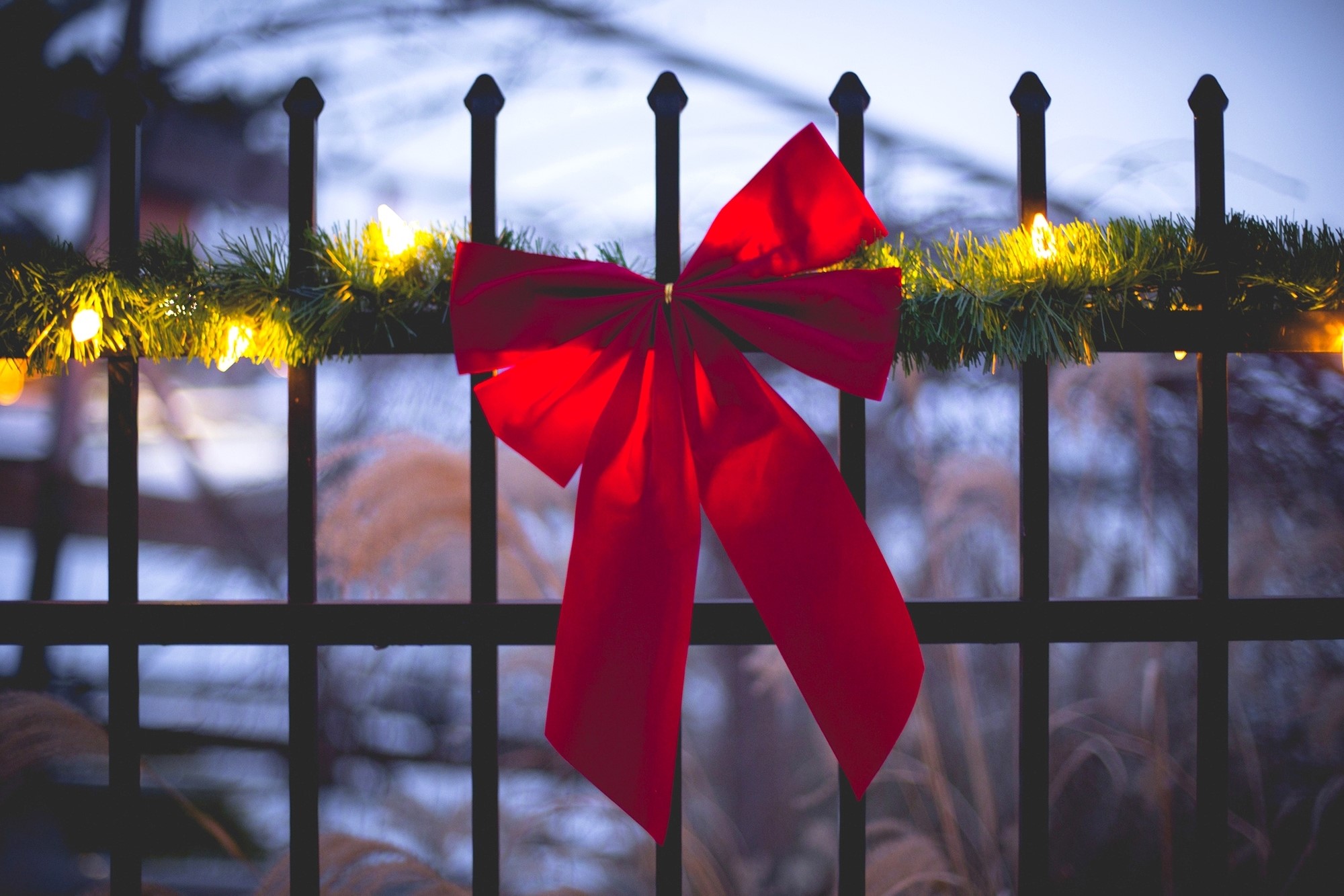 Red bow on a fence with Christmas lights HD Wallpaper