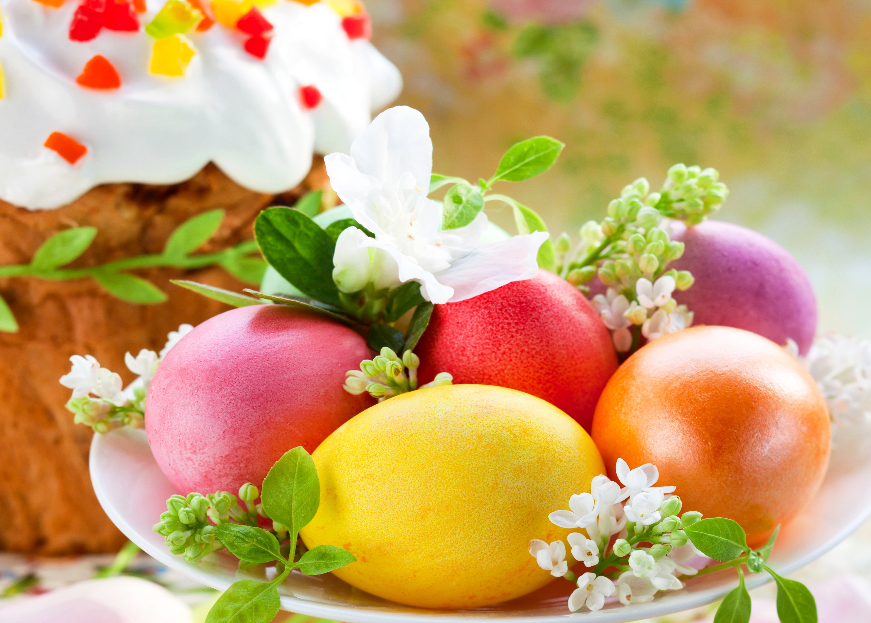 Easter cake and colorful eggs with flowers HD Wallpaper