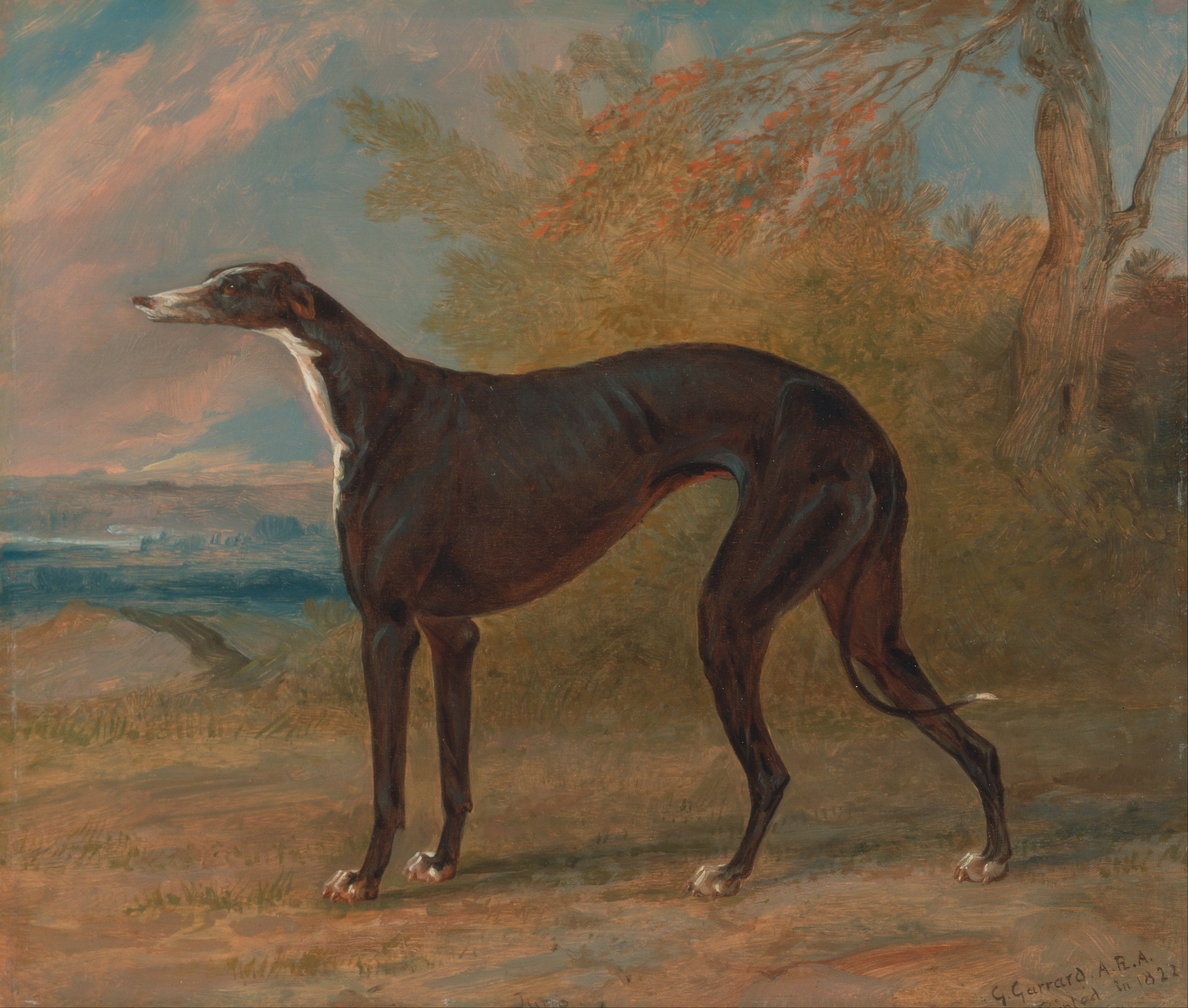 Greyhound by George Garrard, 1822 HD Wallpaper