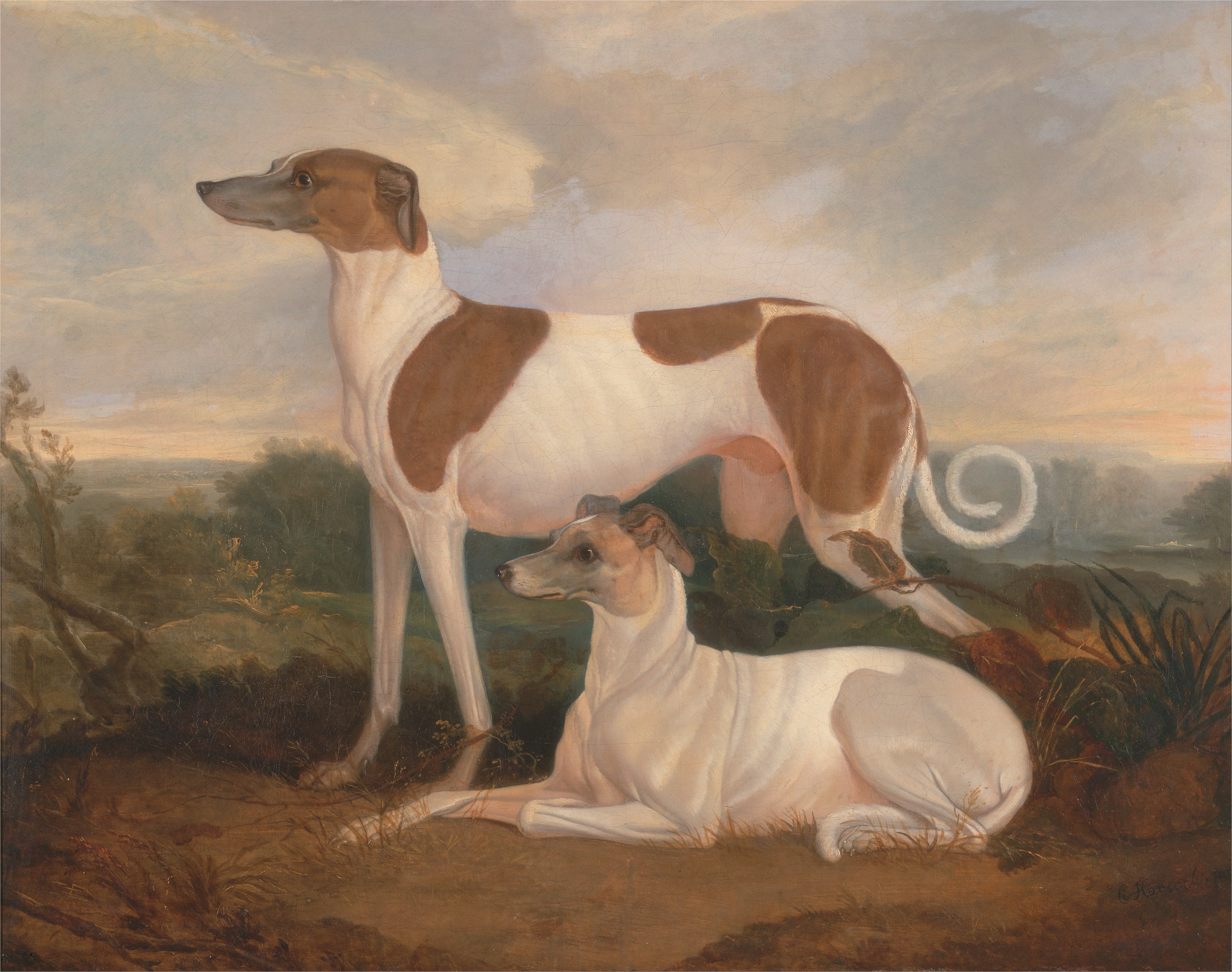 Two Sighthounds in a Landscape by Charles Hancock HD Wallpaper