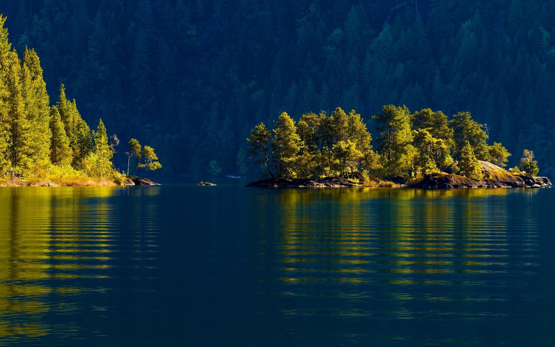 Island with trees in a lake with forest background HD Wallpaper