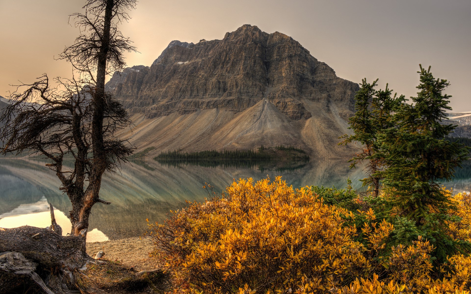 Mountain lake with dead tree and autumn foliage HD Wallpaper