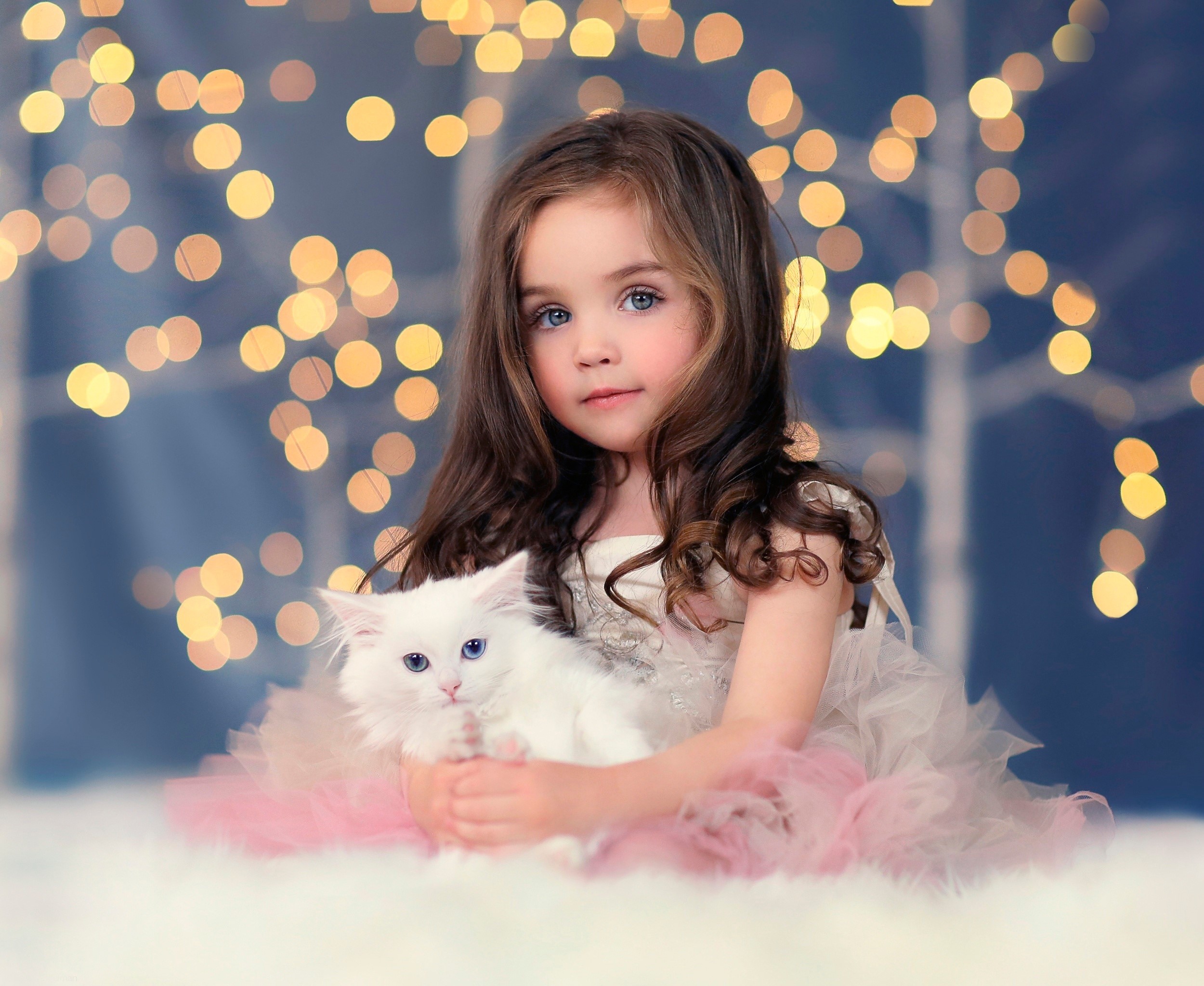 Young girl holding a white kitten HD Wallpaper