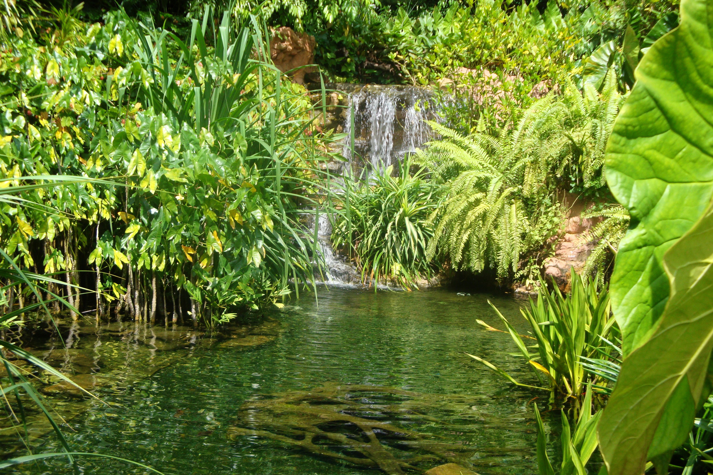 Waterfall and pond in a lush garden HD Wallpaper
