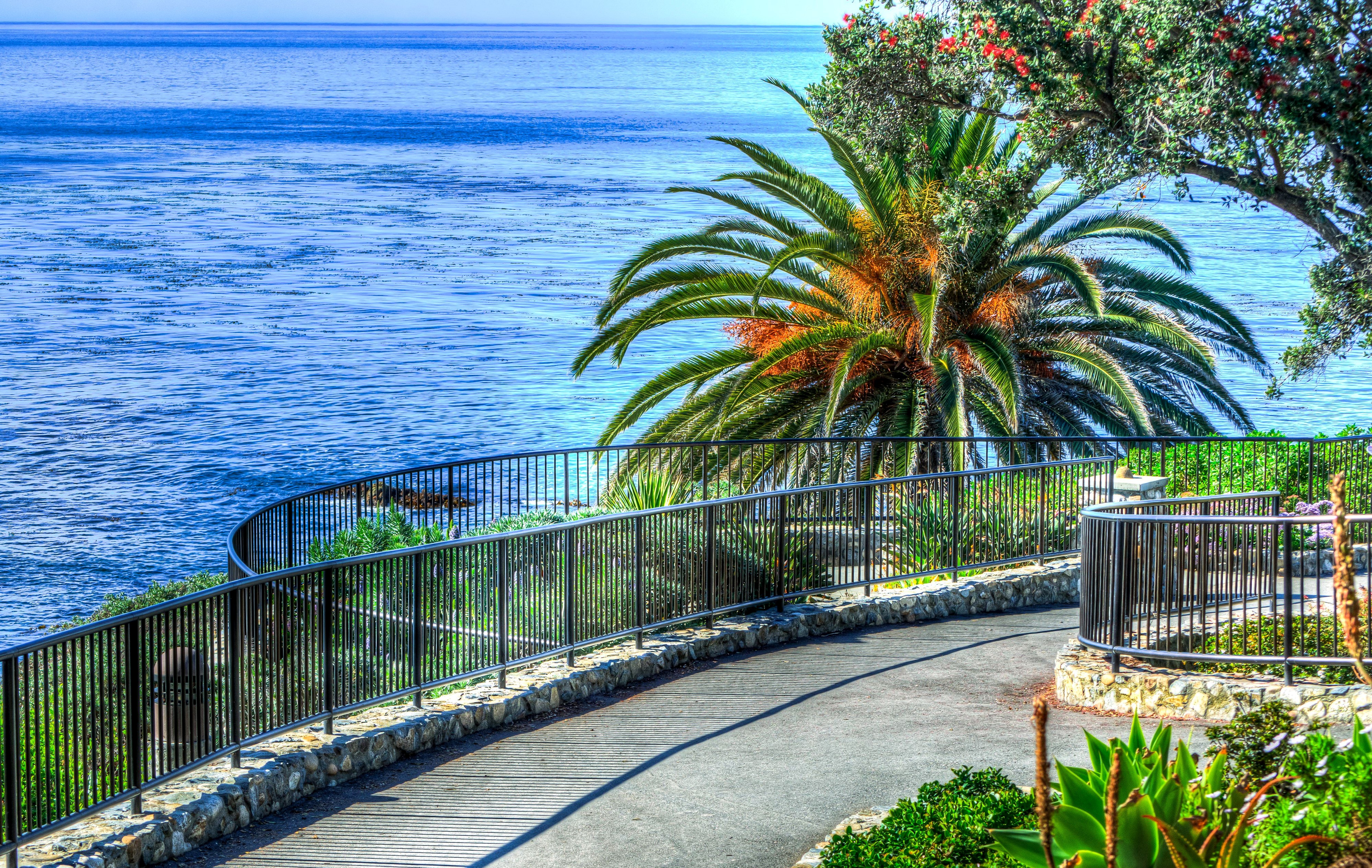 4K Laguna Beach USA Palm Tree Fence HD Wallpaper