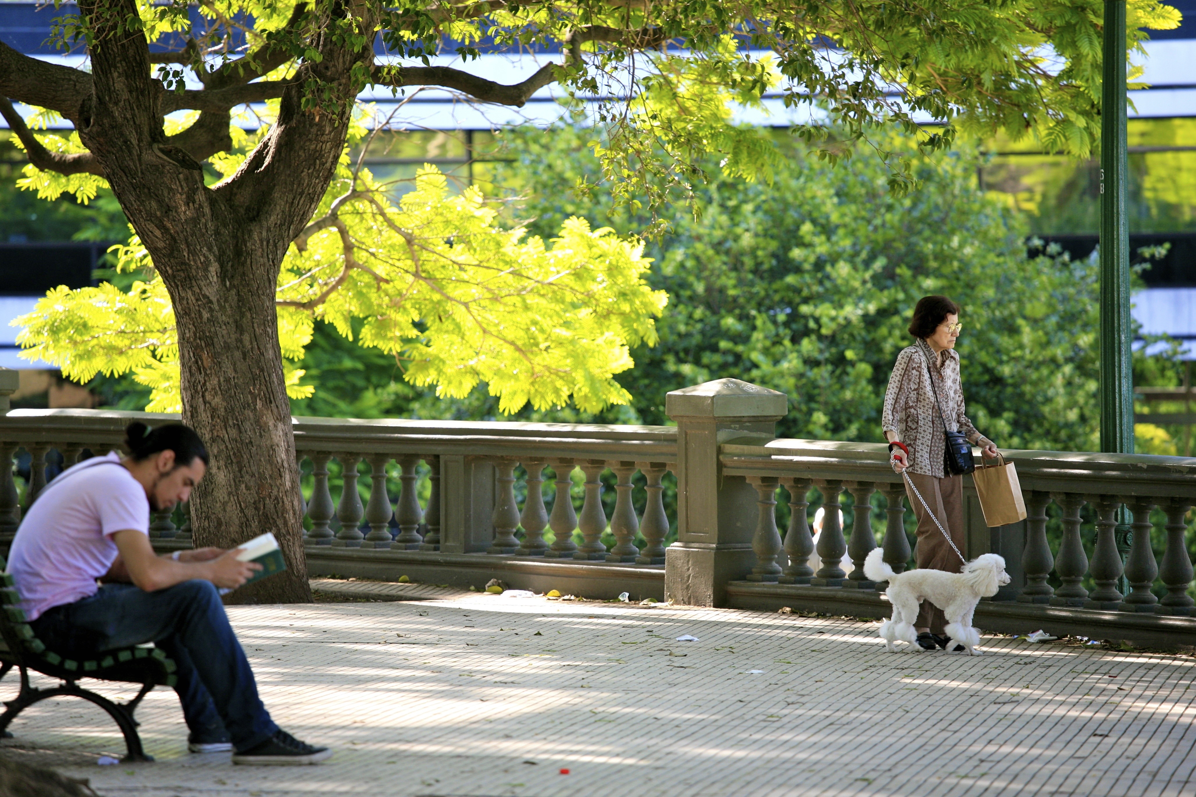 Man reading on bench, woman walking dog in park HD Wallpaper