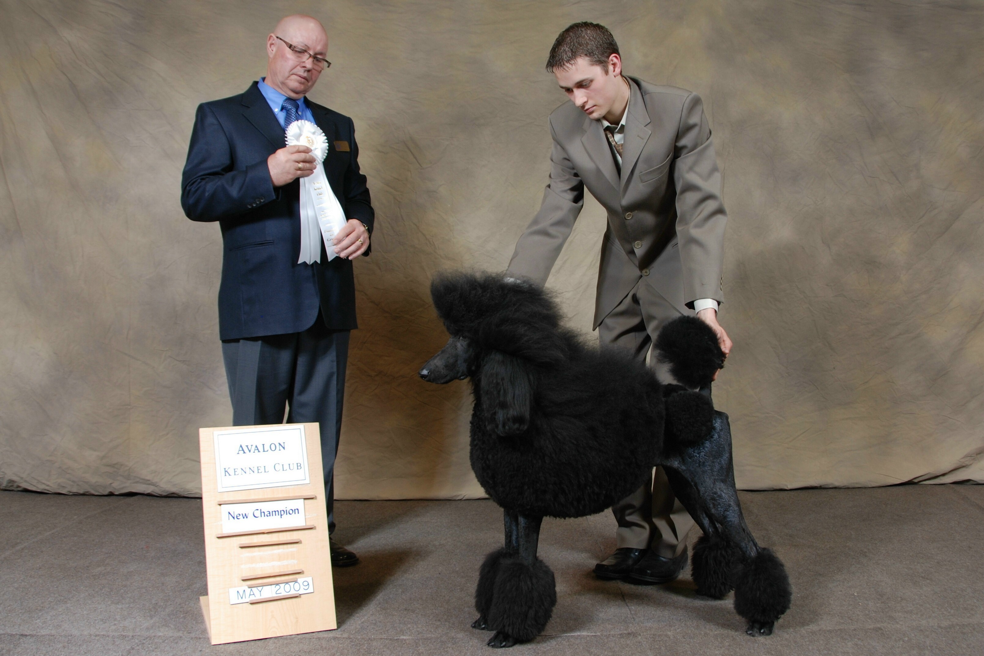Man presenting award to a black poodle at Avalon Kennel Club HD Wallpaper