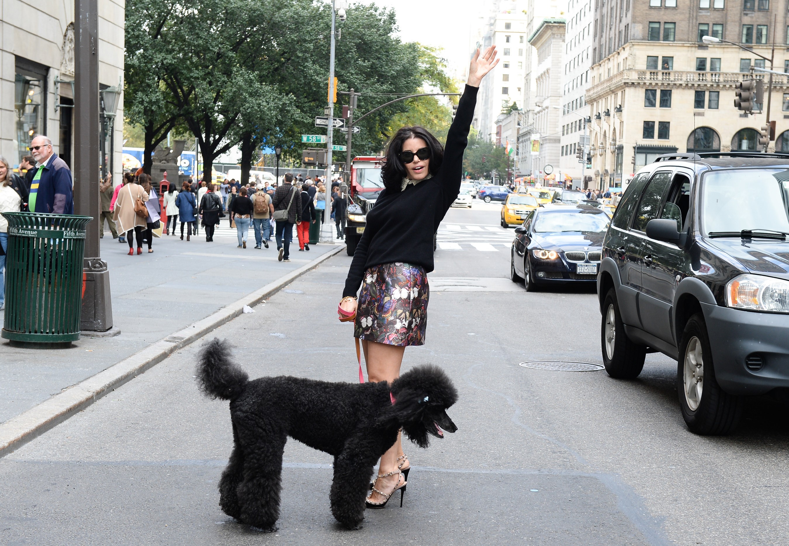 Woman with Poodle on a City Street HD Wallpaper