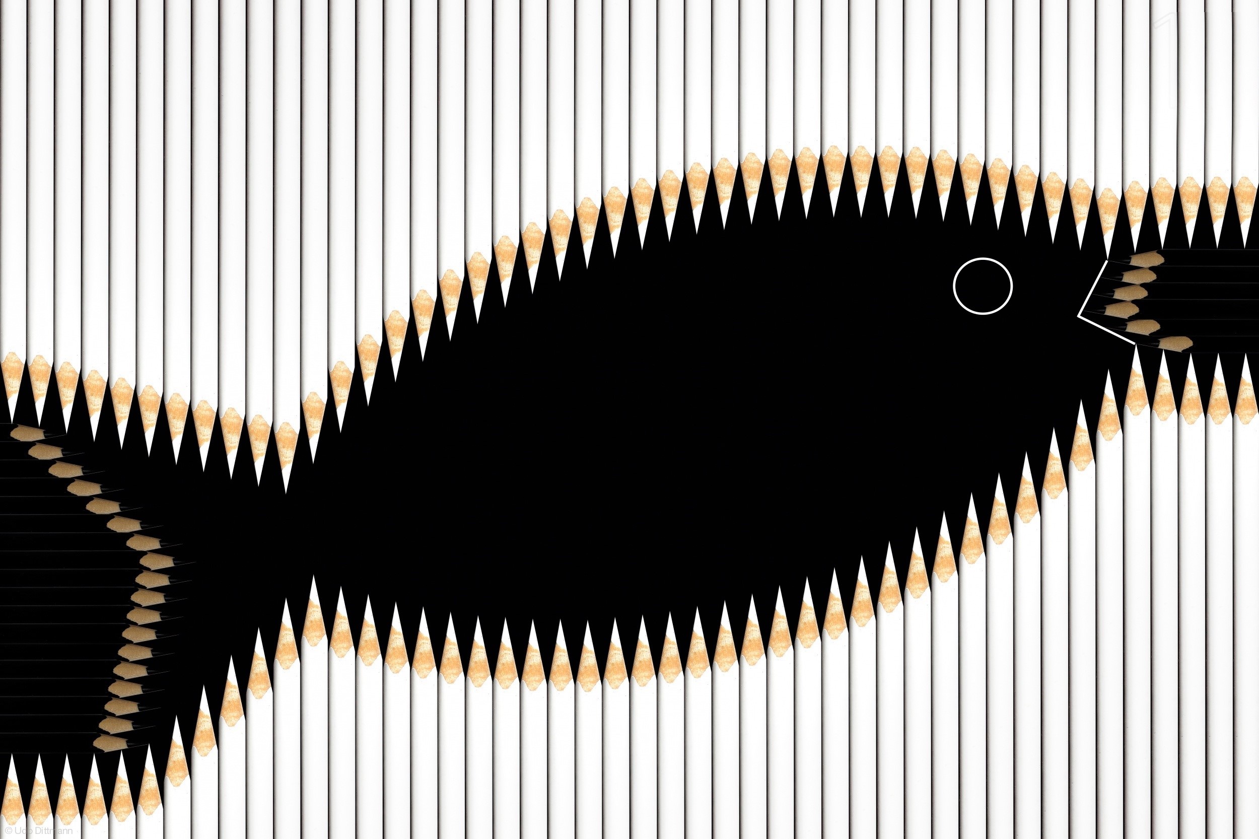 Fish made of pencils HD Wallpaper