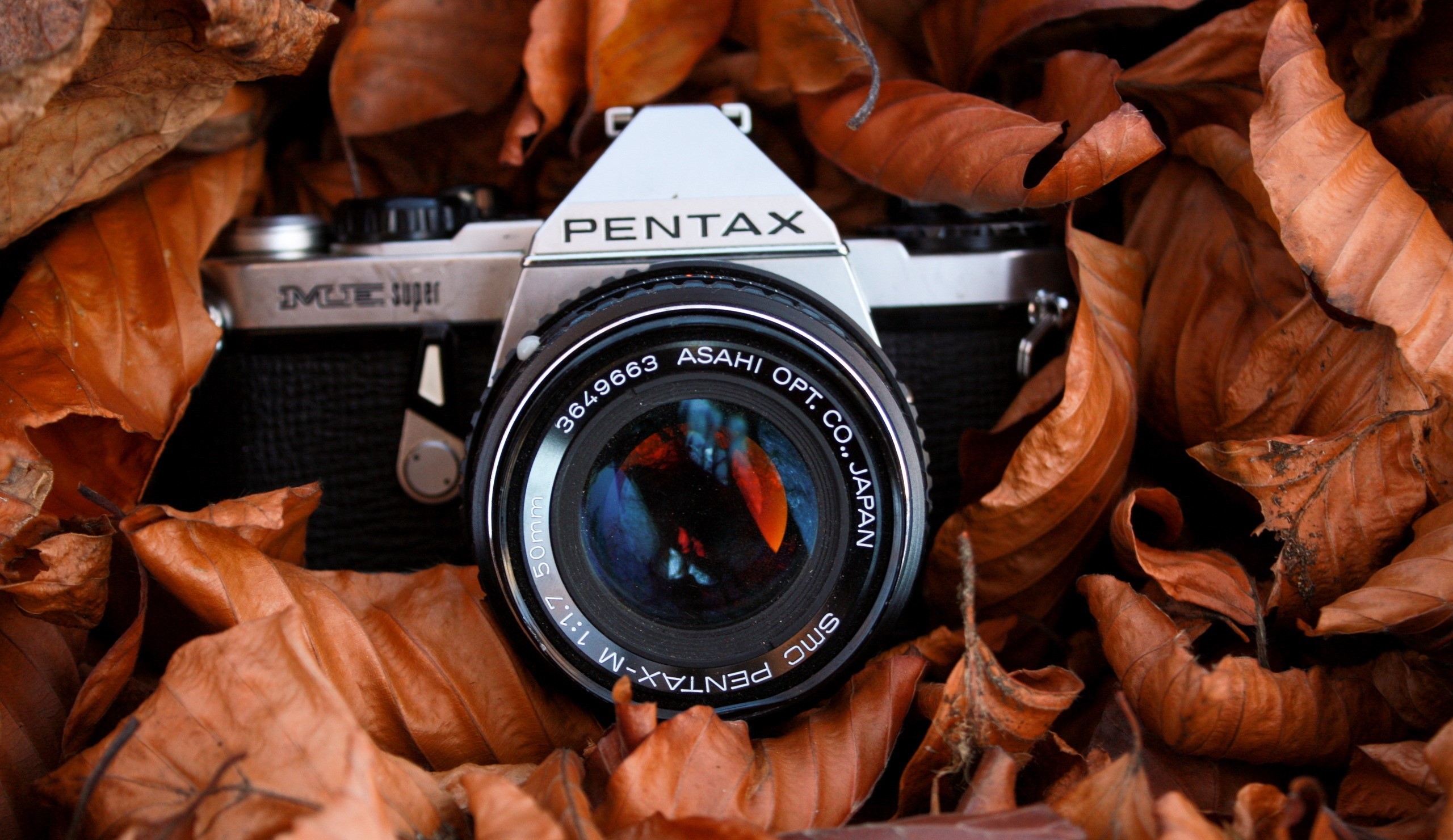 Pentax SMC Super camera among autumn leaves HD Wallpaper