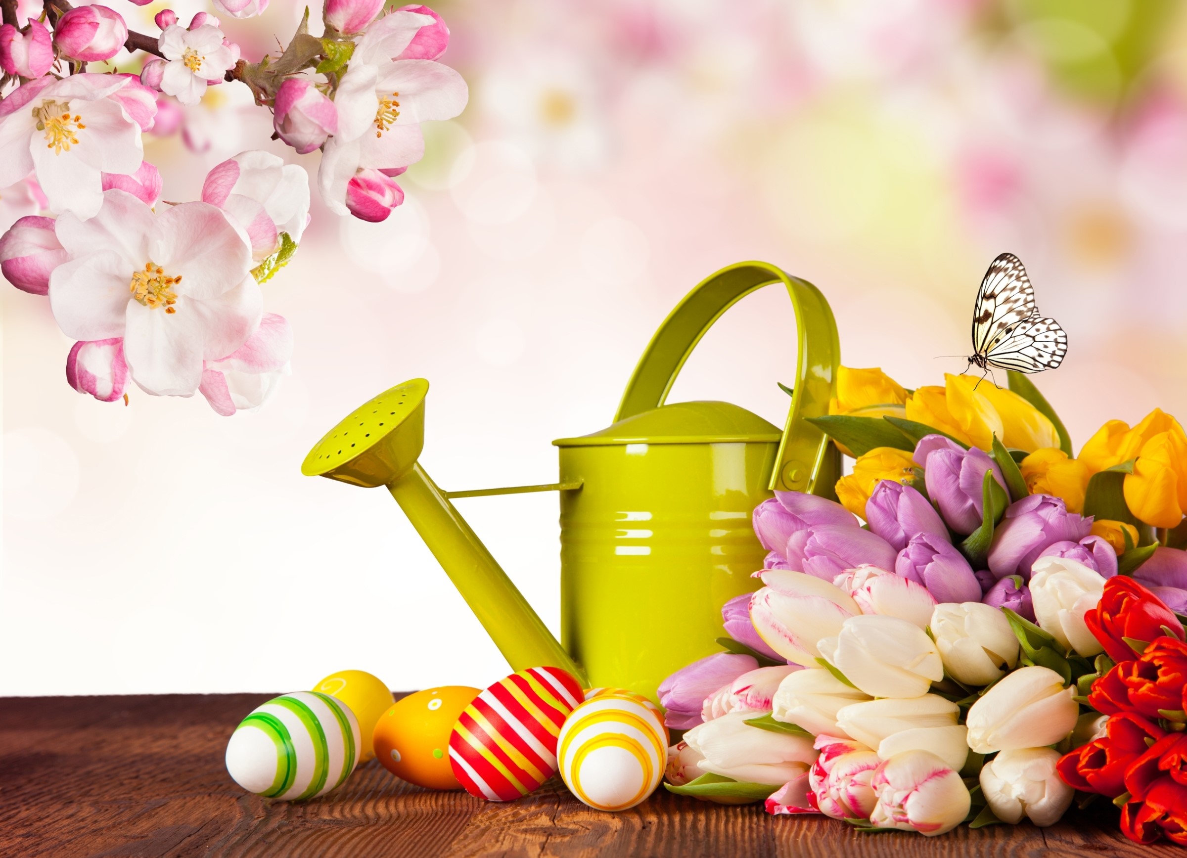 Easter still life with tulips and eggs HD Wallpaper