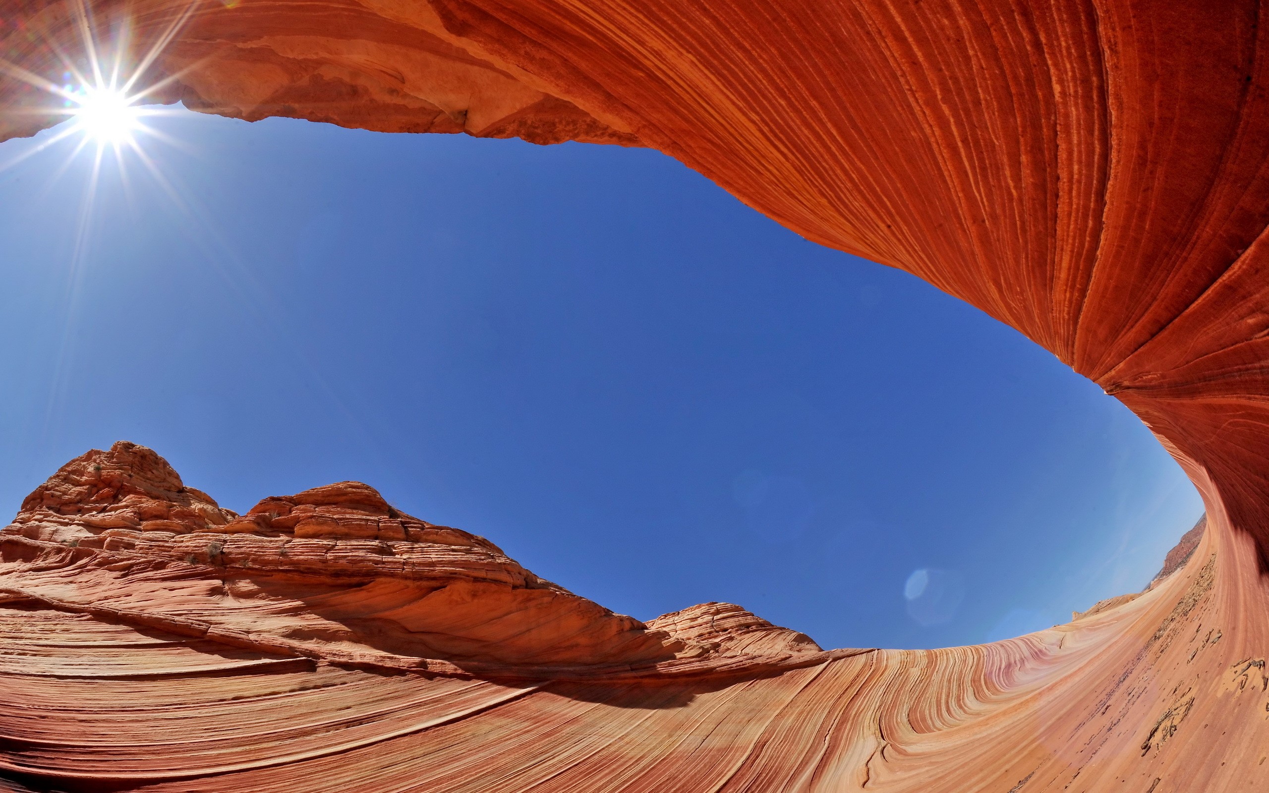 The Wave rock formation under a bright blue sky HD Wallpaper