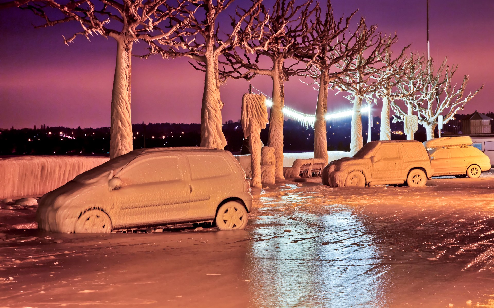 Cars and trees covered in ice during winter HD Wallpaper
