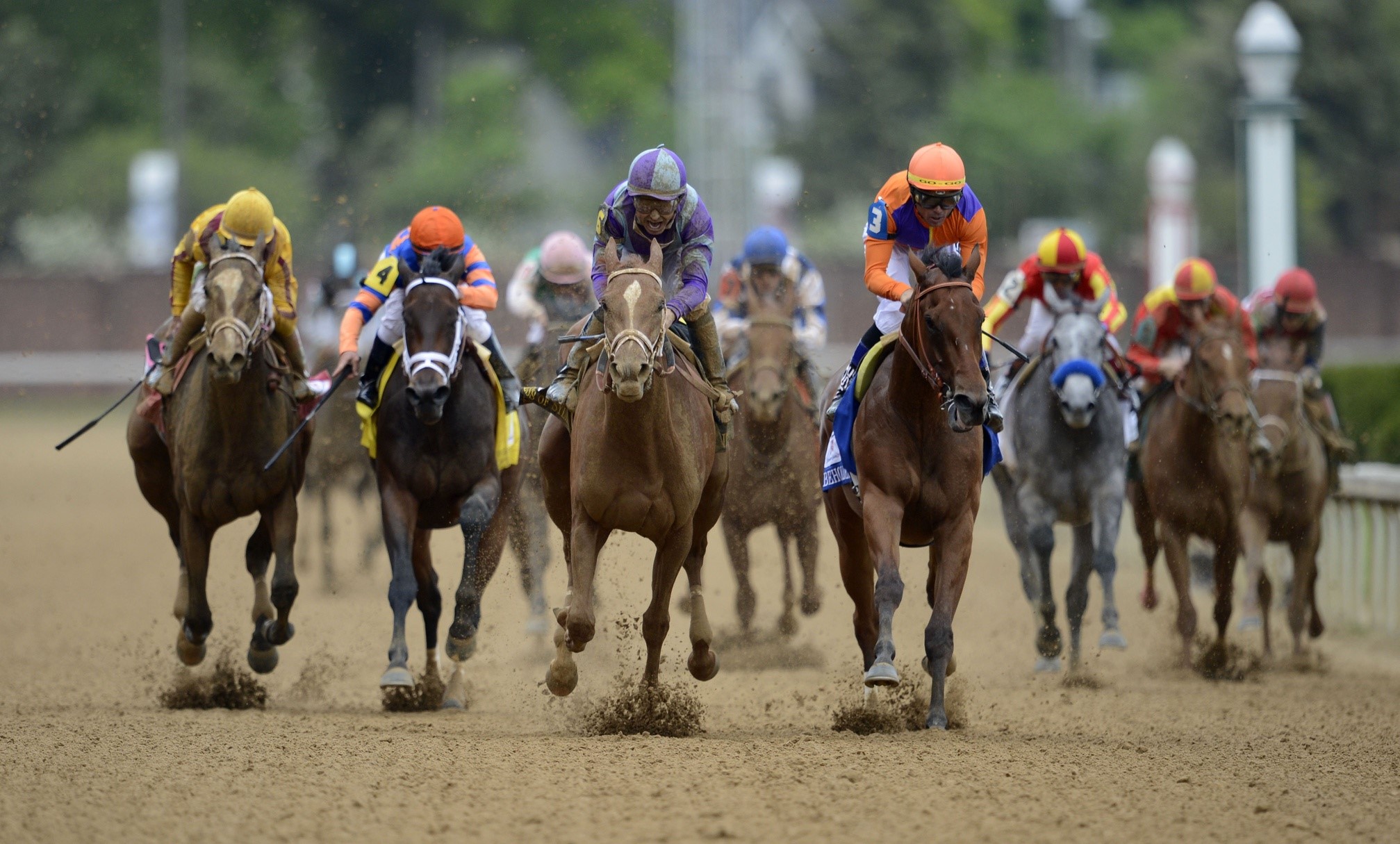 Horse Race on a Dirt Track HD Wallpaper