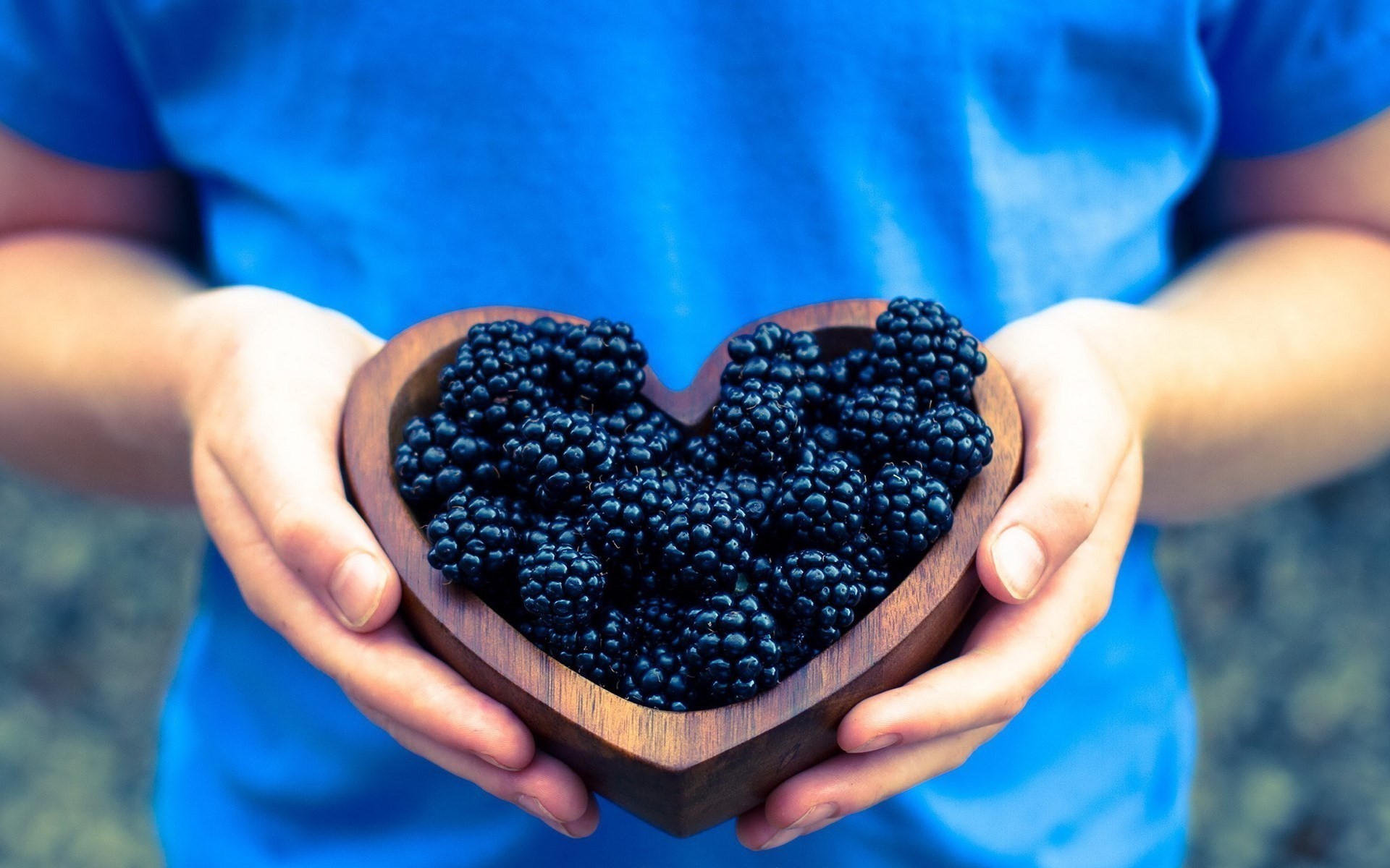 Hands holding a heart-shaped bowl of blackberries HD Wallpaper