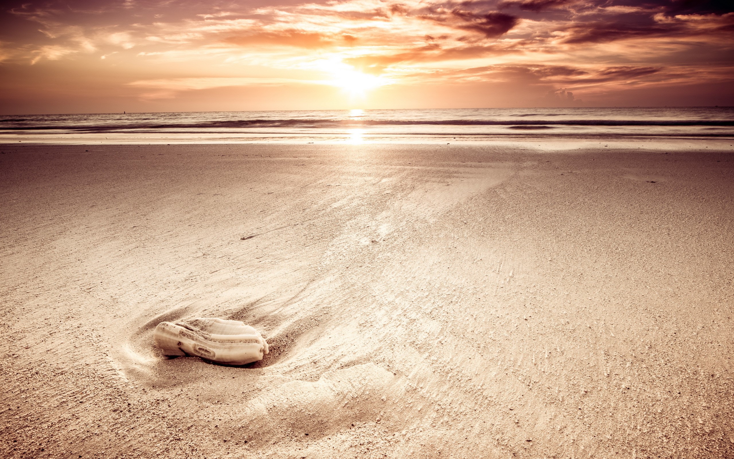 Shoe on a beach at sunset HD Wallpaper