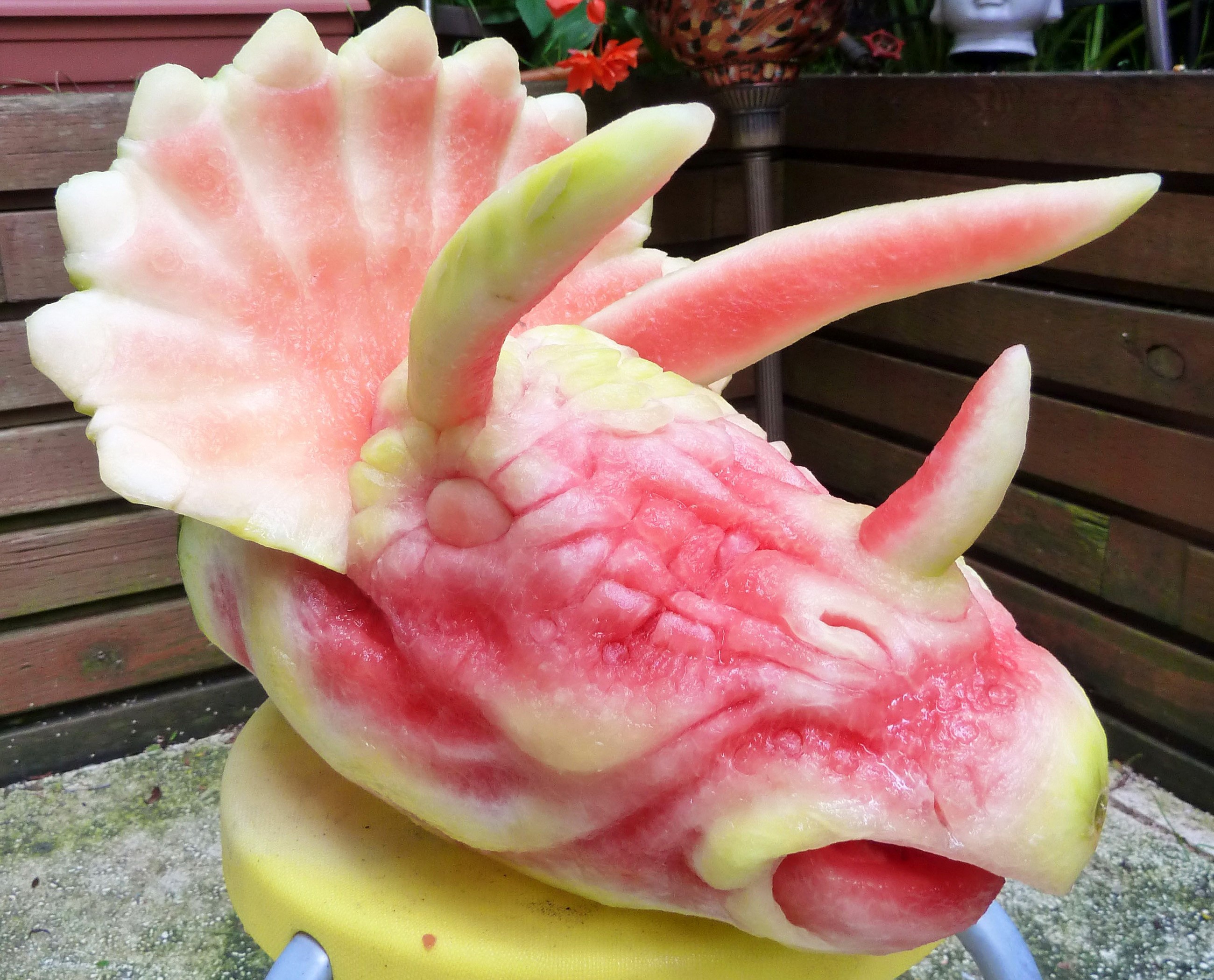 Watermelon carved into a Triceratops dinosaur HD Wallpaper