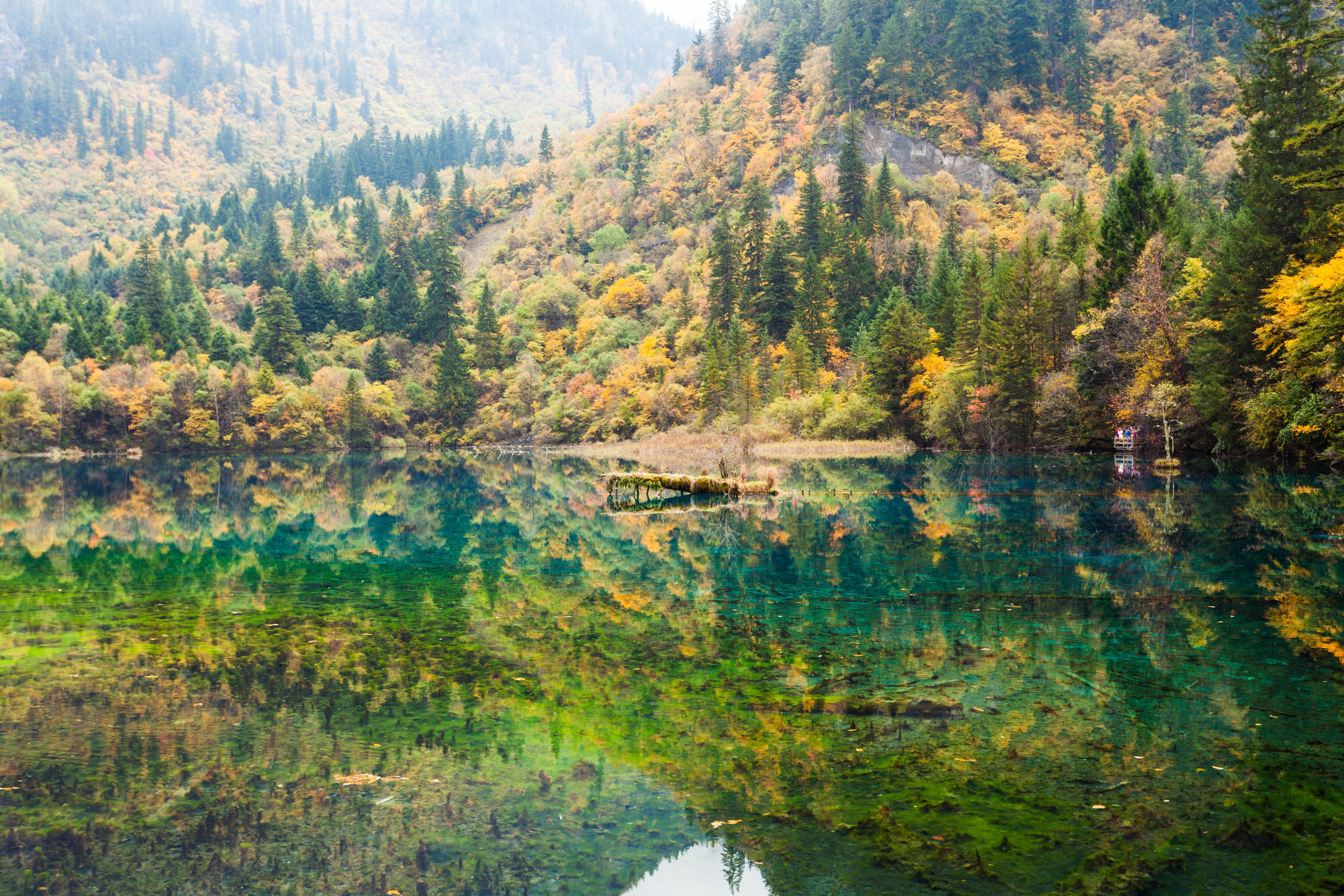 Autumn forest reflected in a clear lake HD Wallpaper