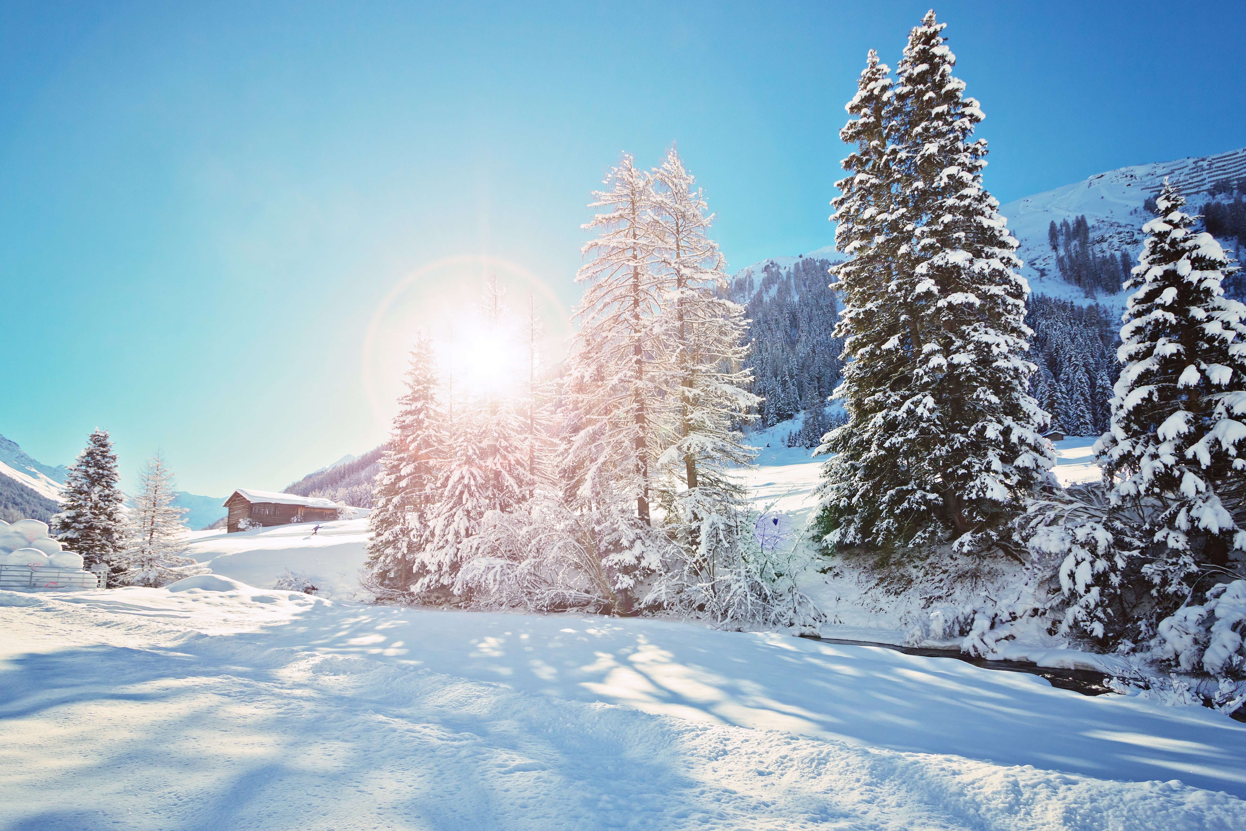 Winter landscape with snow-covered trees and a cabin HD Wallpaper