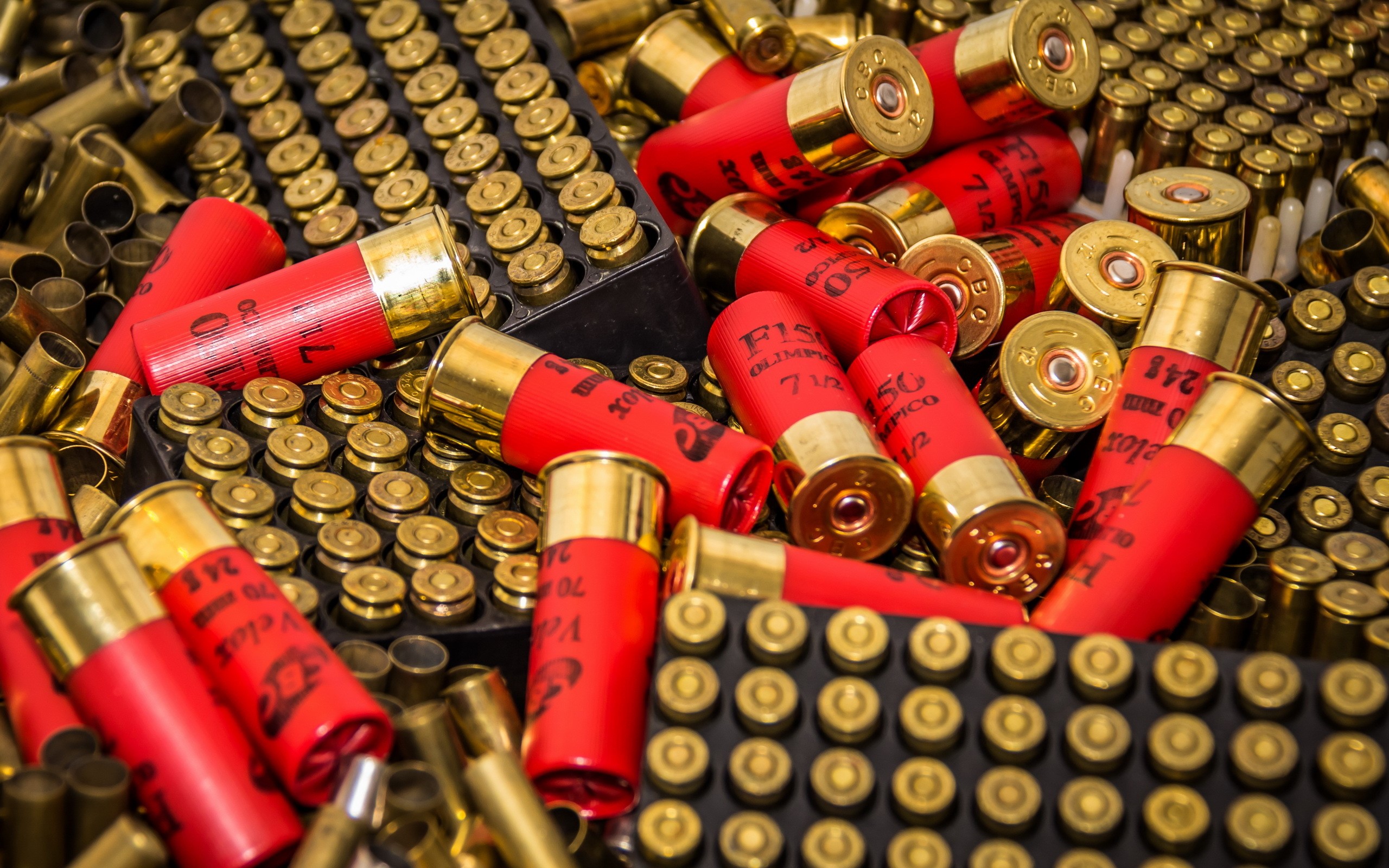 Red and brass shotgun shells in a tray HD Wallpaper