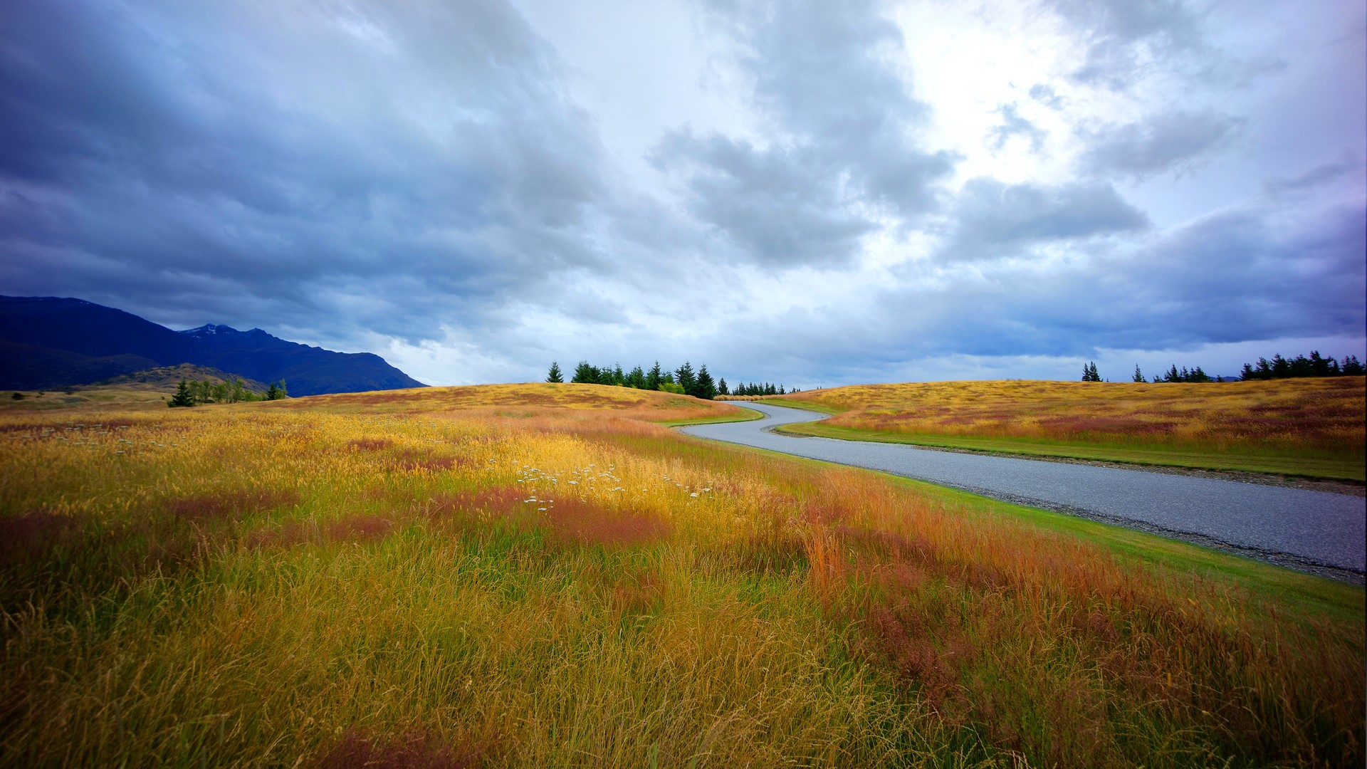 Winding road through autumn fields under cloudy sky HD Wallpaper