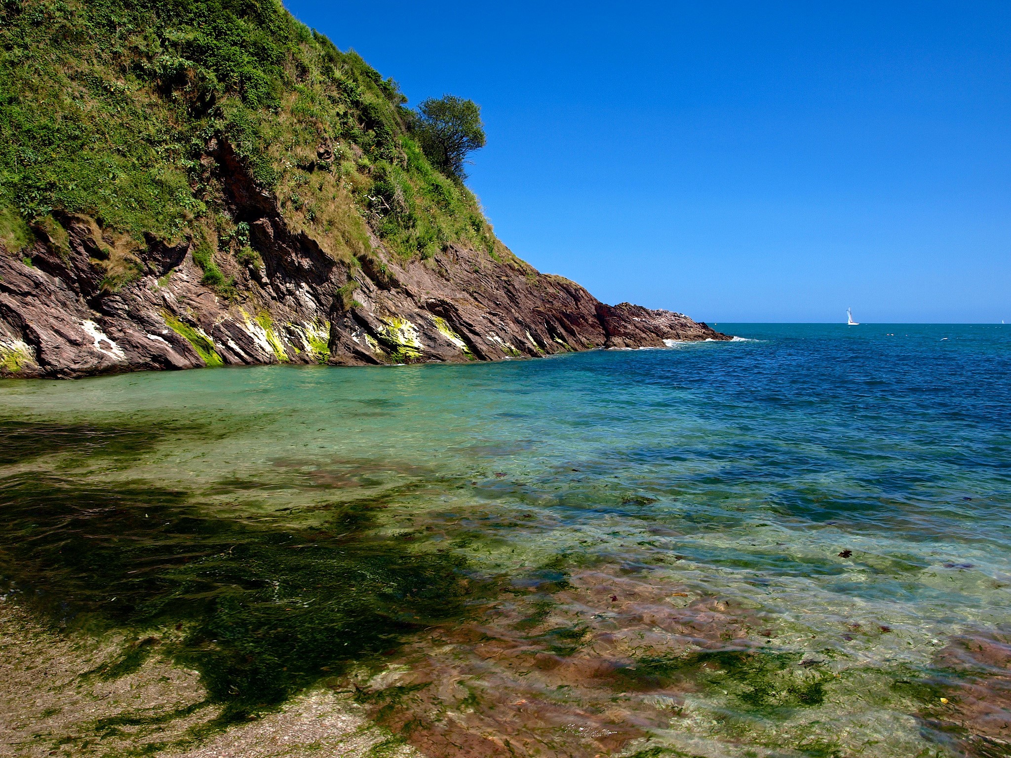 Rocky cliff face meets clear turquoise water in Dartmouth, England HD Wallpaper