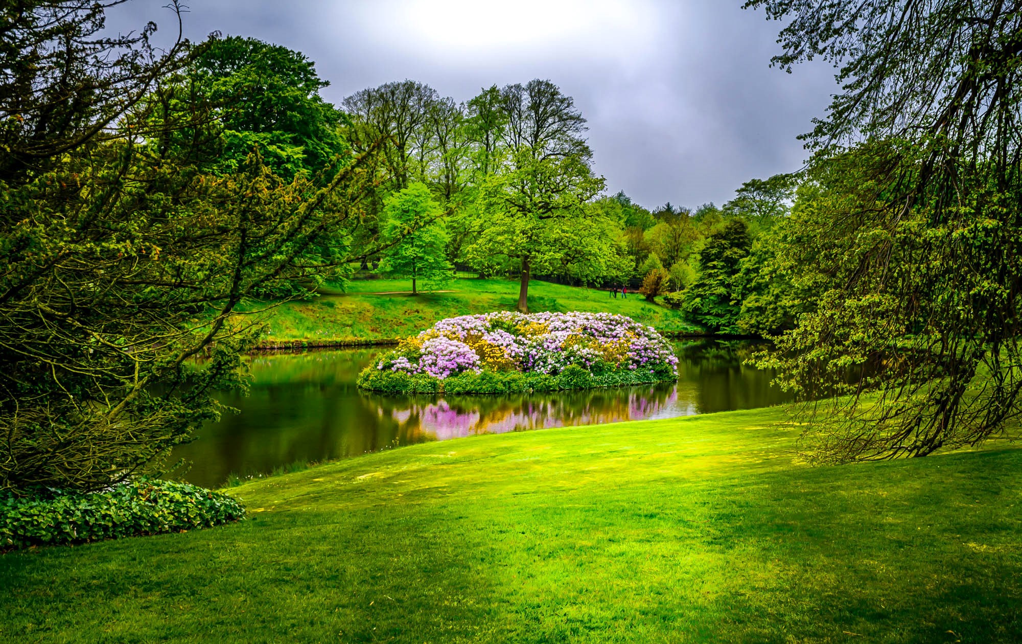 Island with flowers in a park pond HD Wallpaper