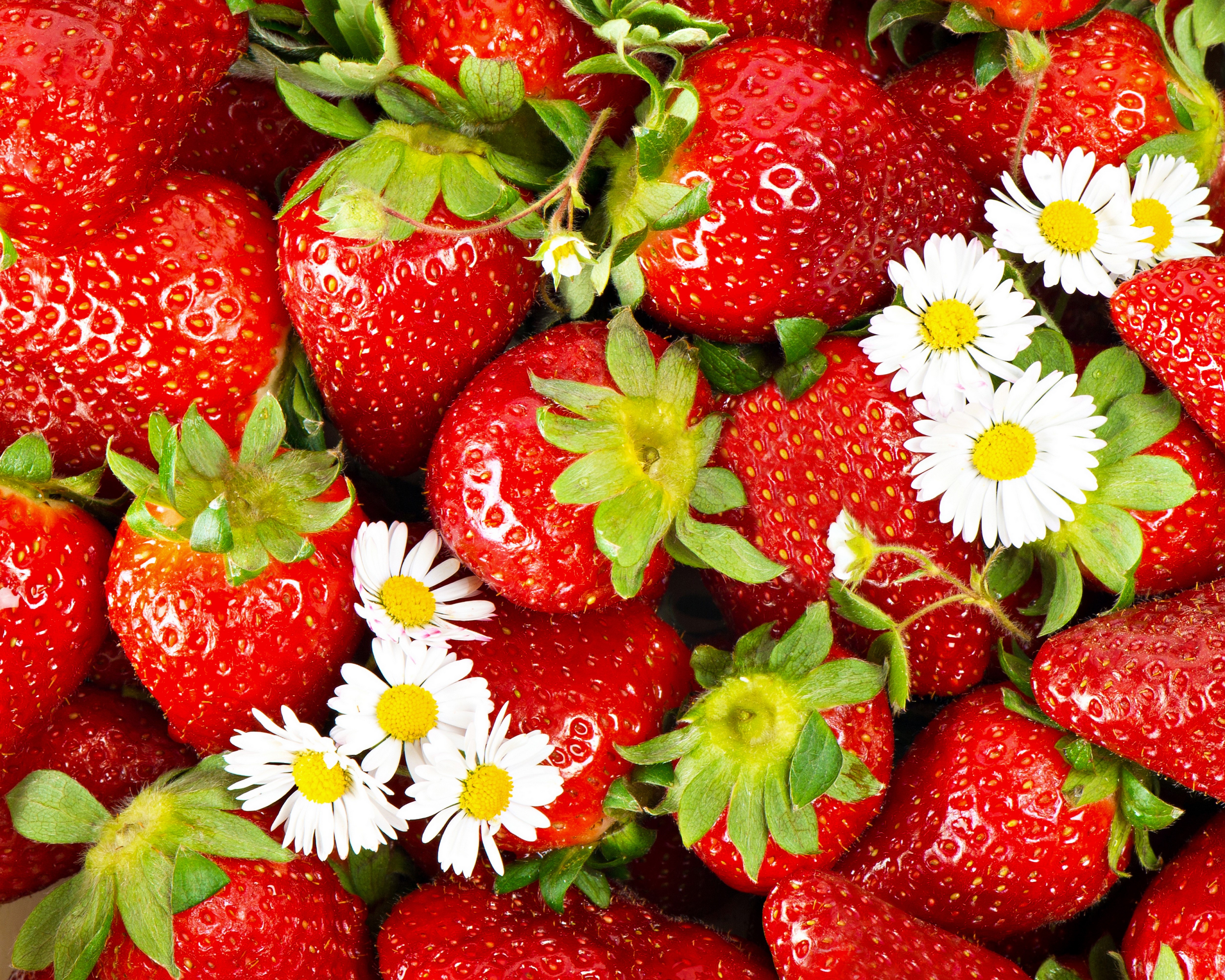 Strawberries and daisies HD Wallpaper