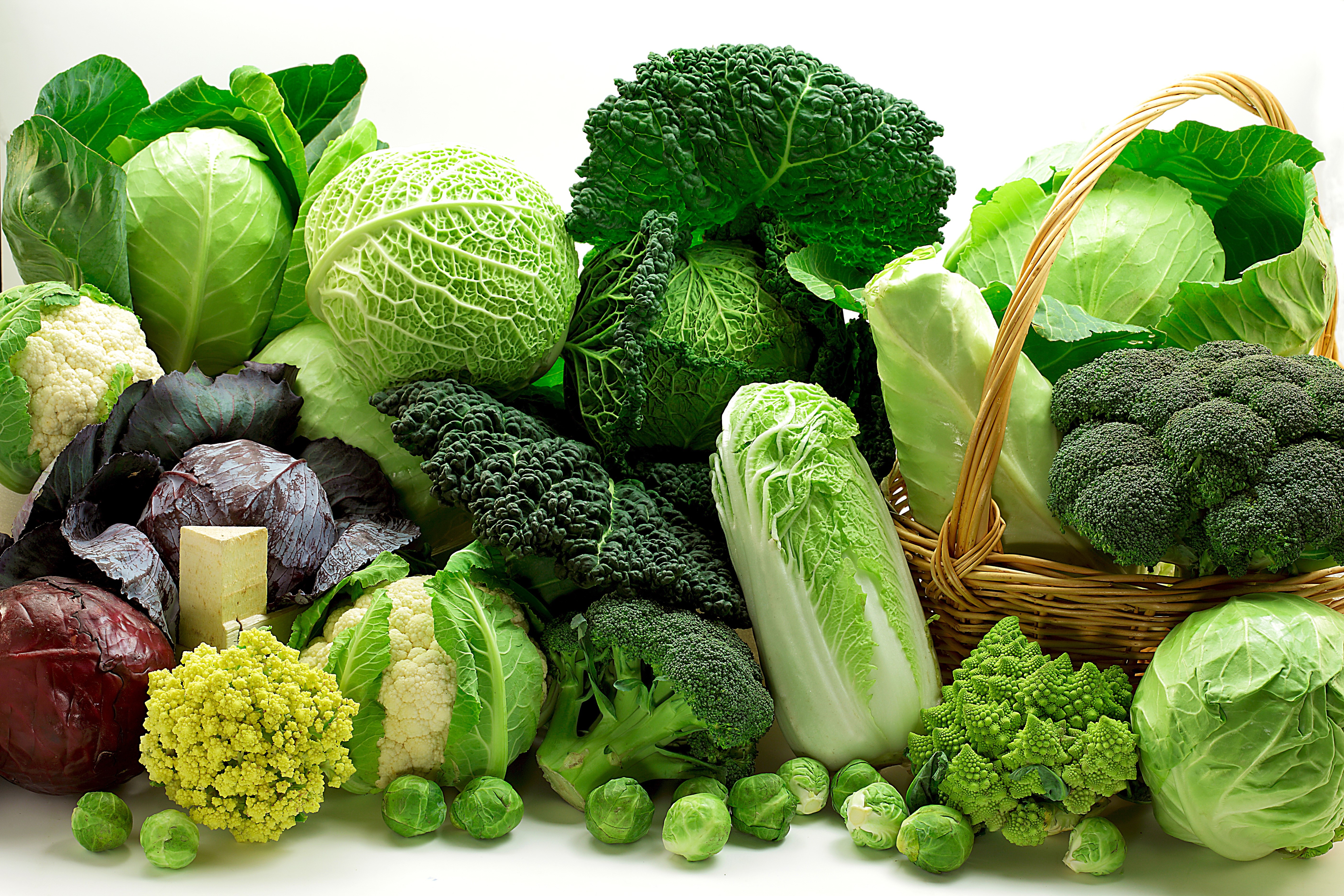 Assortment of Fresh Vegetables HD Wallpaper