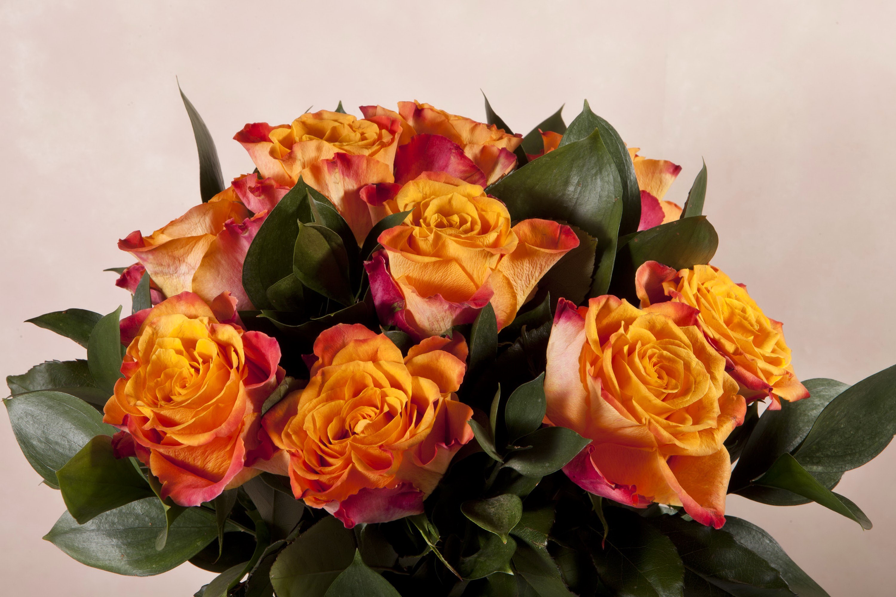 Bouquet of orange and red roses with green leaves HD Wallpaper